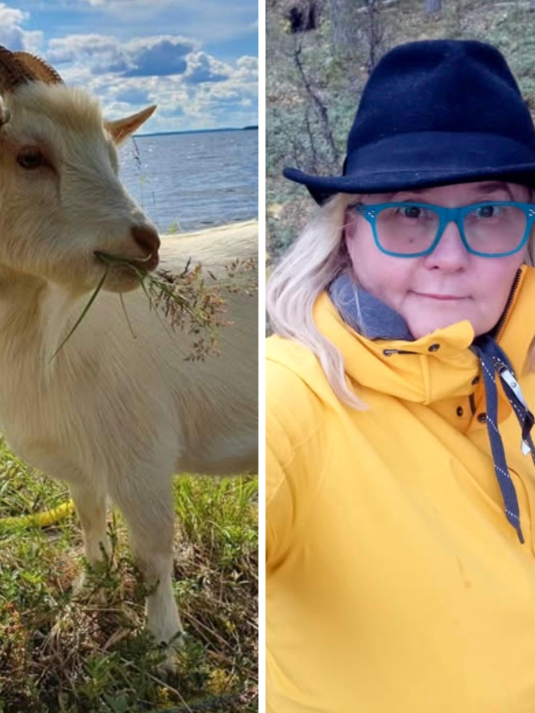 Tiinan mökkipihassa tepastelee kanoja, kissoja ja afrikkalaisia kääpiövuohia! ”Eläimet ovat meillä loppuelämänsä kodissa”