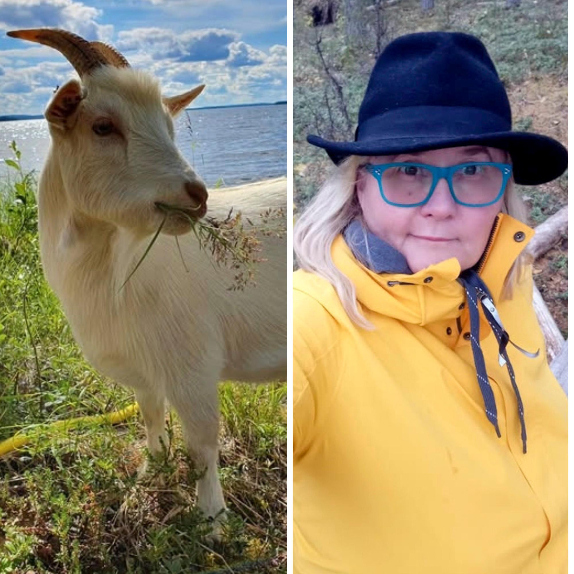 Tiinan mökkipihassa tepastelee kanoja, kissoja ja afrikkalaisia kääpiövuohia! ”Eläimet ovat meillä loppuelämänsä kodissa”
