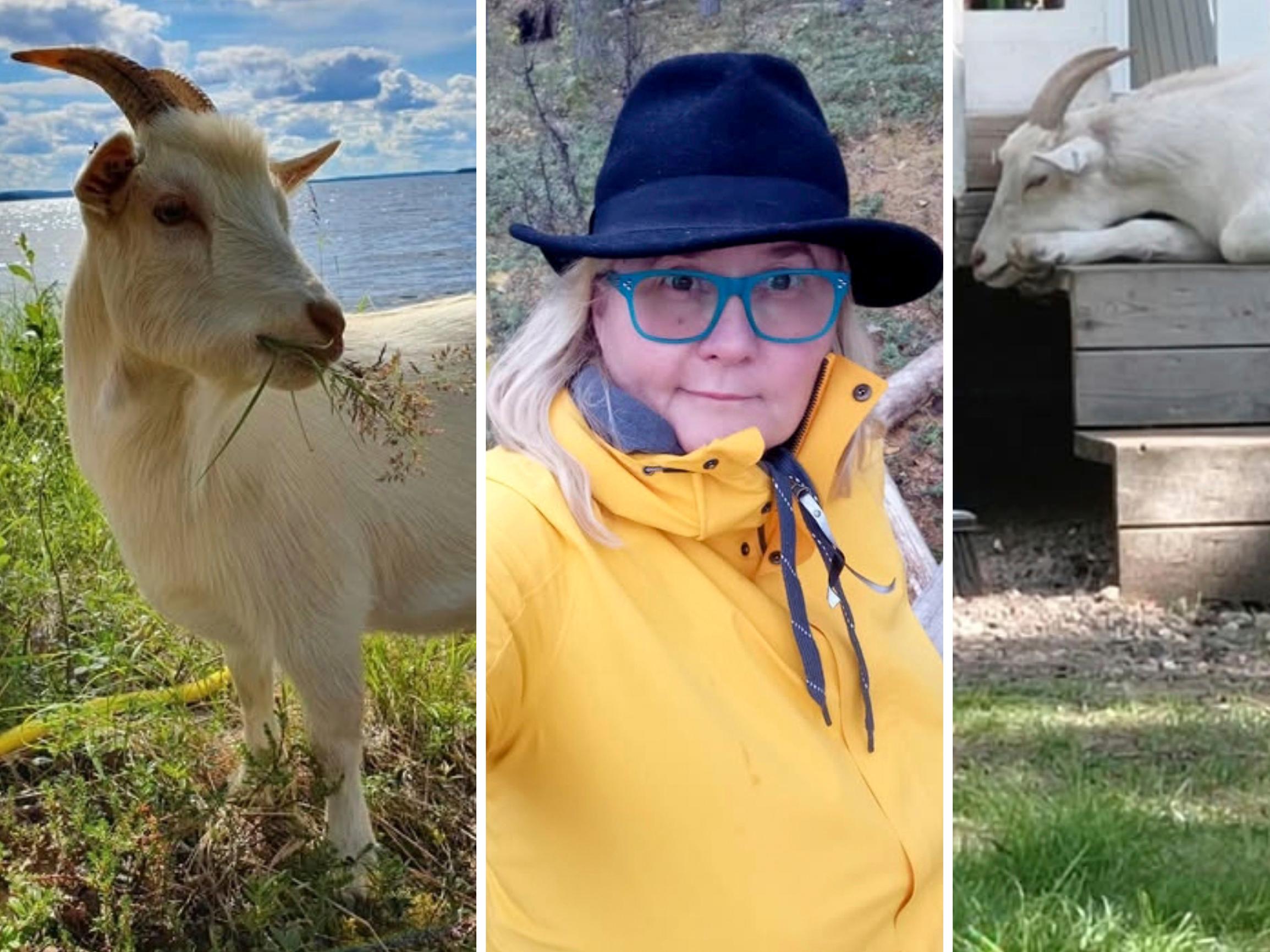 Tiinan mökkipihassa tepastelee kanoja, kissoja ja afrikkalaisia kääpiövuohia! ”Eläimet ovat meillä loppuelämänsä kodissa”