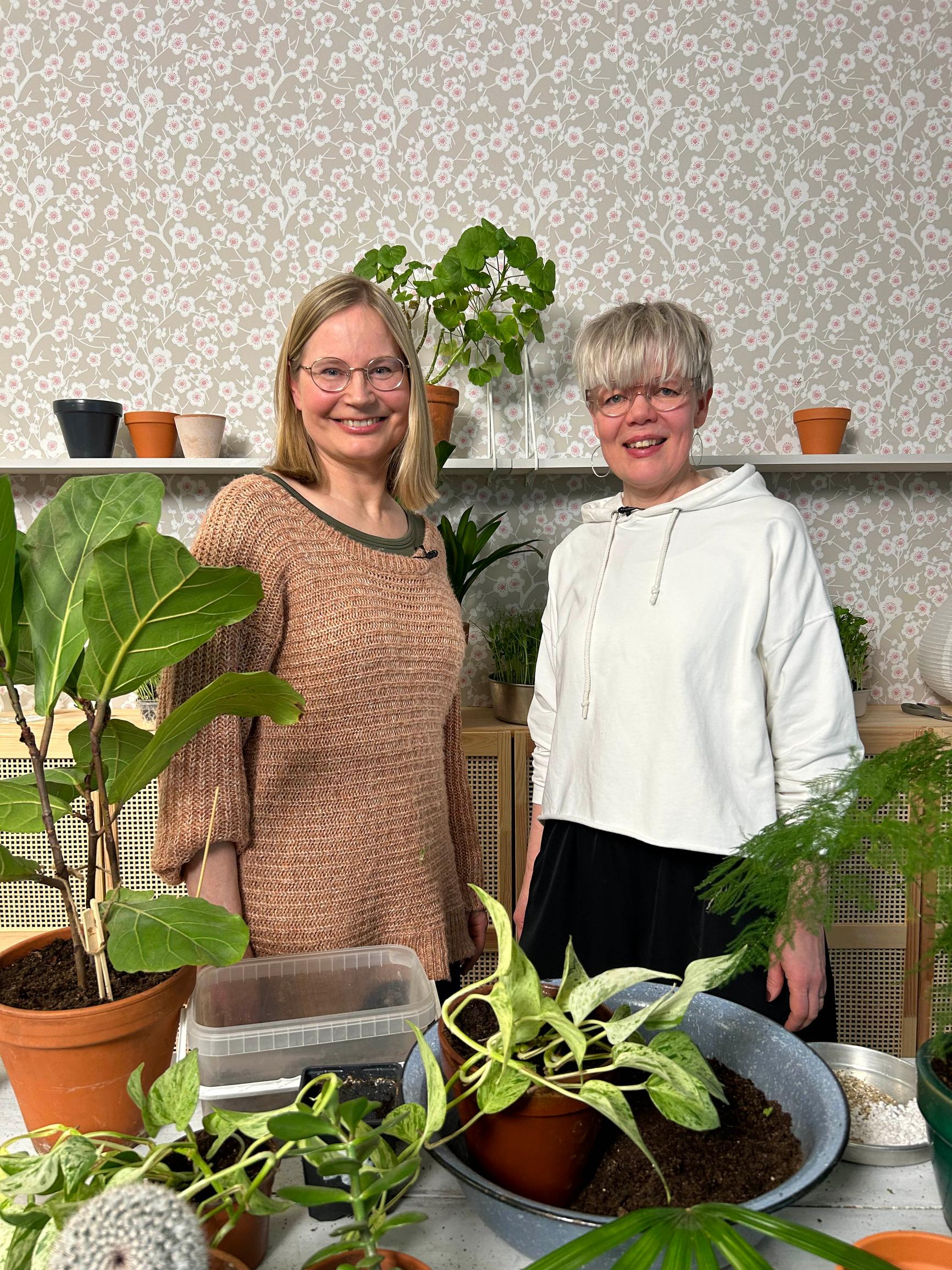 Viherpeukaloa ei tarvita! Näin kasvatat herkullisia herne- ja härkäpapuversoja – asiantuntijana hortonomi Outi Tynys 
