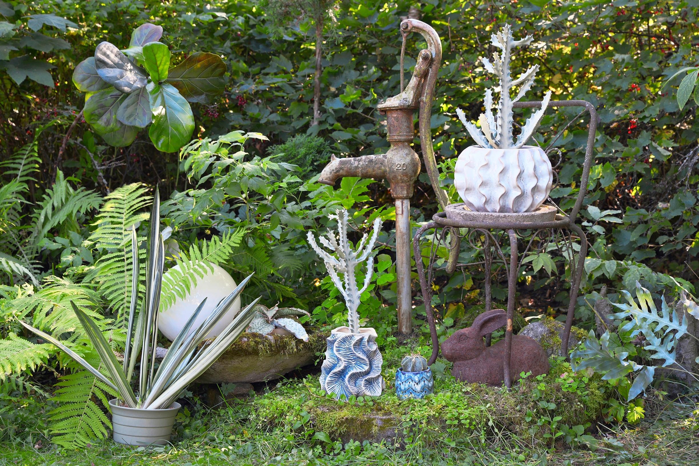 viherkasvi tyräkki anopinkieli lyyraviikuna tähtipiispanhattu