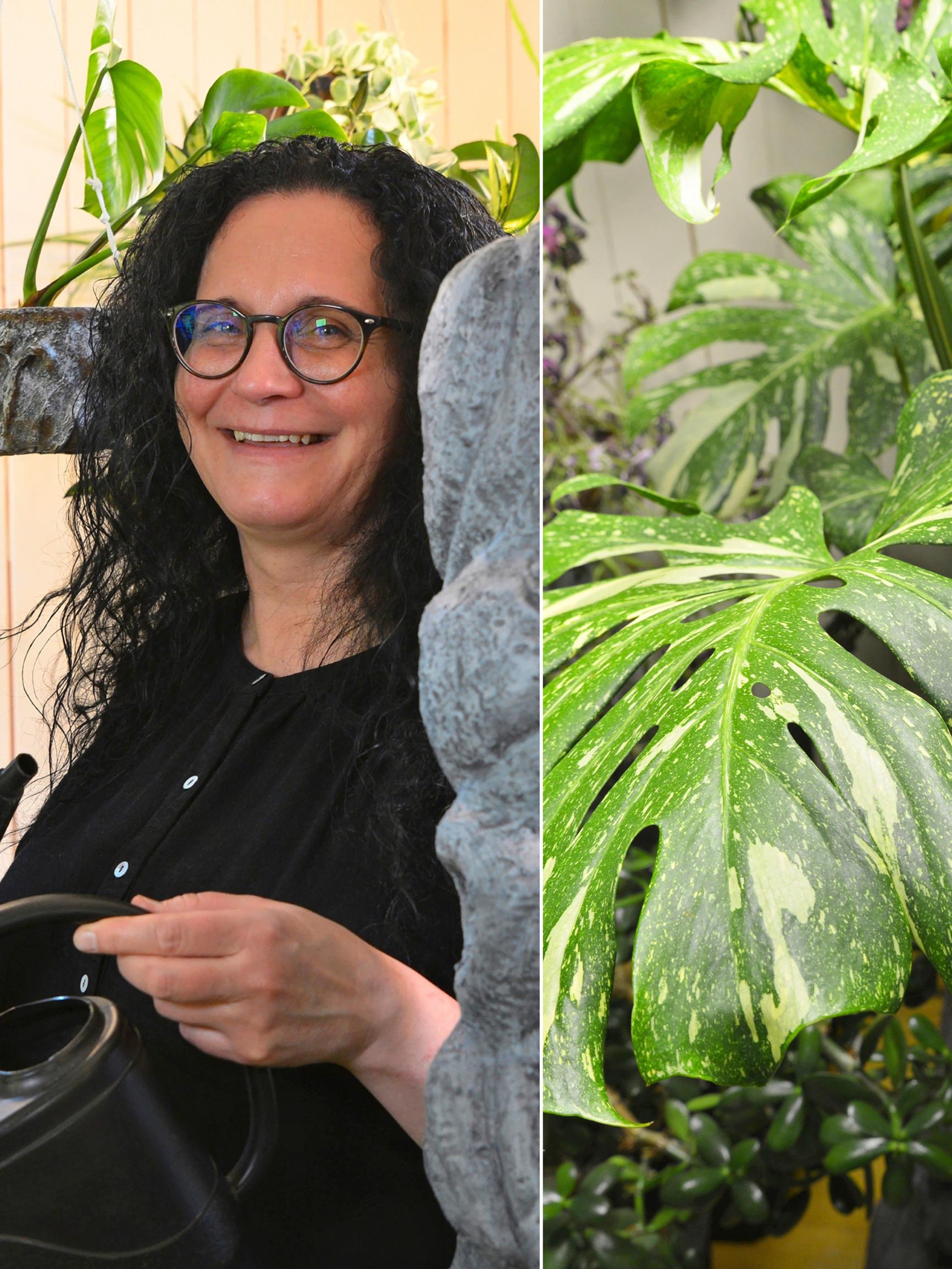 Päivin koti Pohjois-Norjassa on kuin sademetsän ja aavikon sekoitus: ”Kasvihulluuteni alkoi, kun ymmärsin valojen merkityksen kasvien hyvinvoinnille”