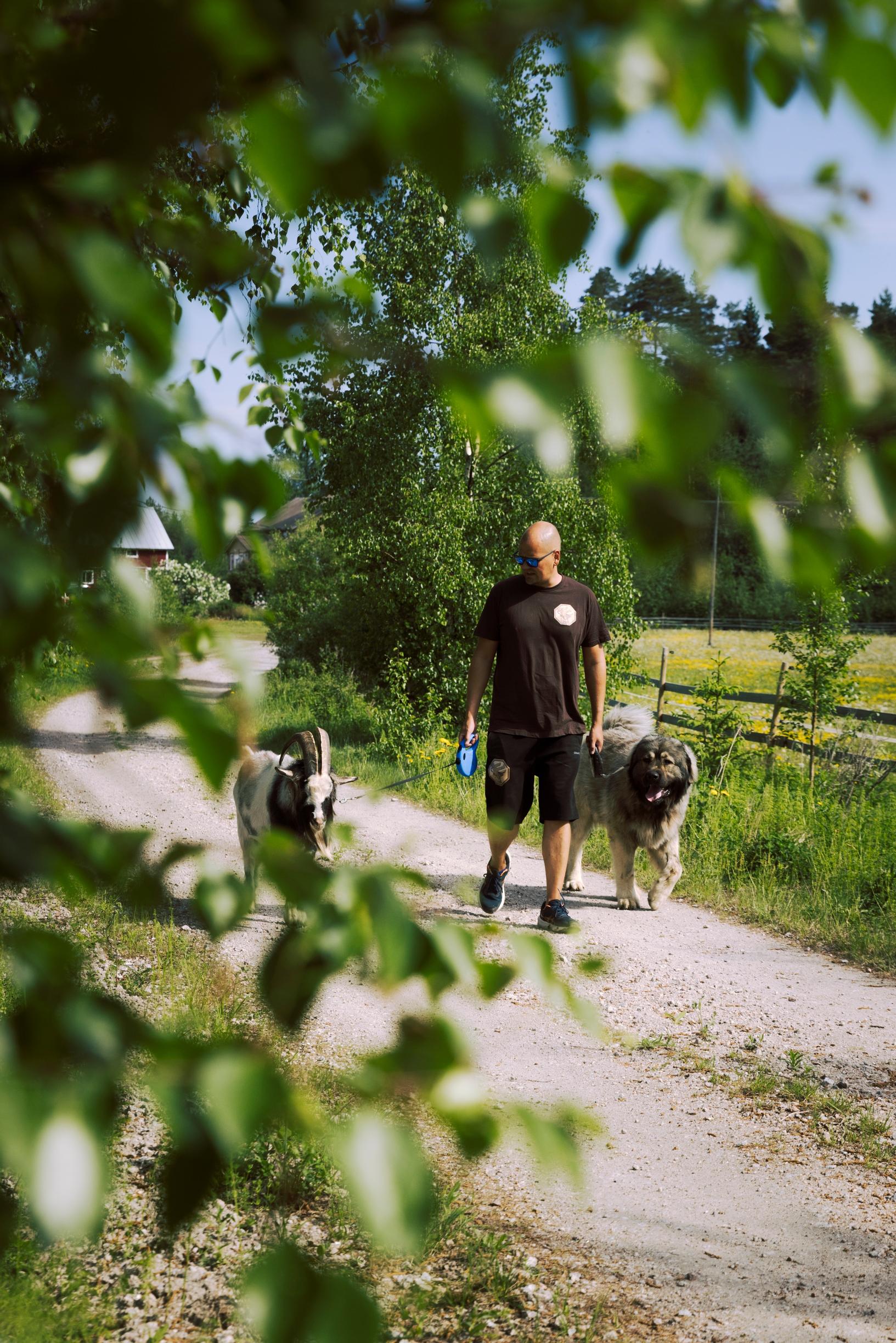 mies, vuohi ja koira kävelyllä hiekkatiellä