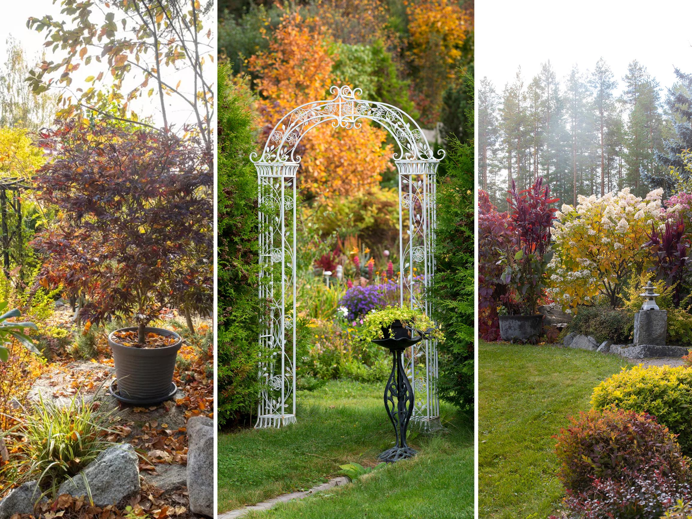 Syksykö ankea? Ei puutarhassa! Sen todistavat nämä kuusi satumaista syyspihaa