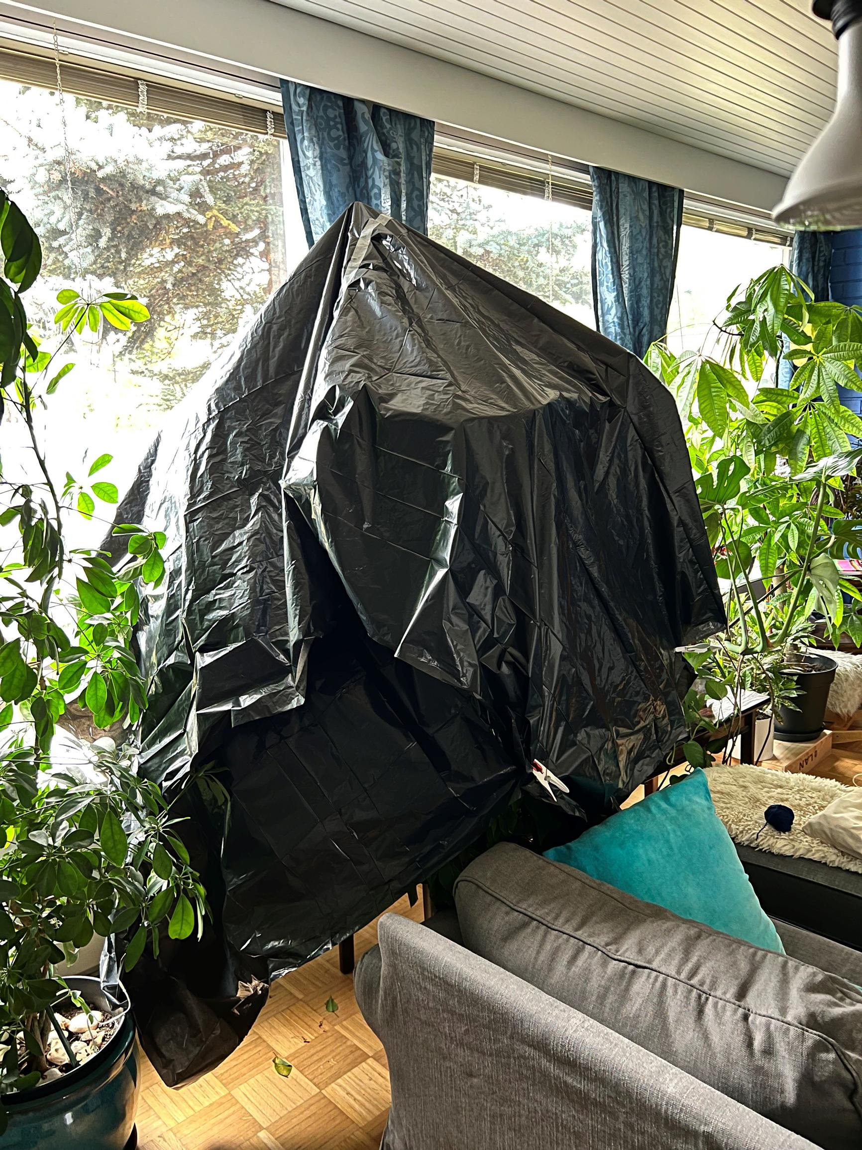 joulutähti jätesäkkien alle peiteltynä