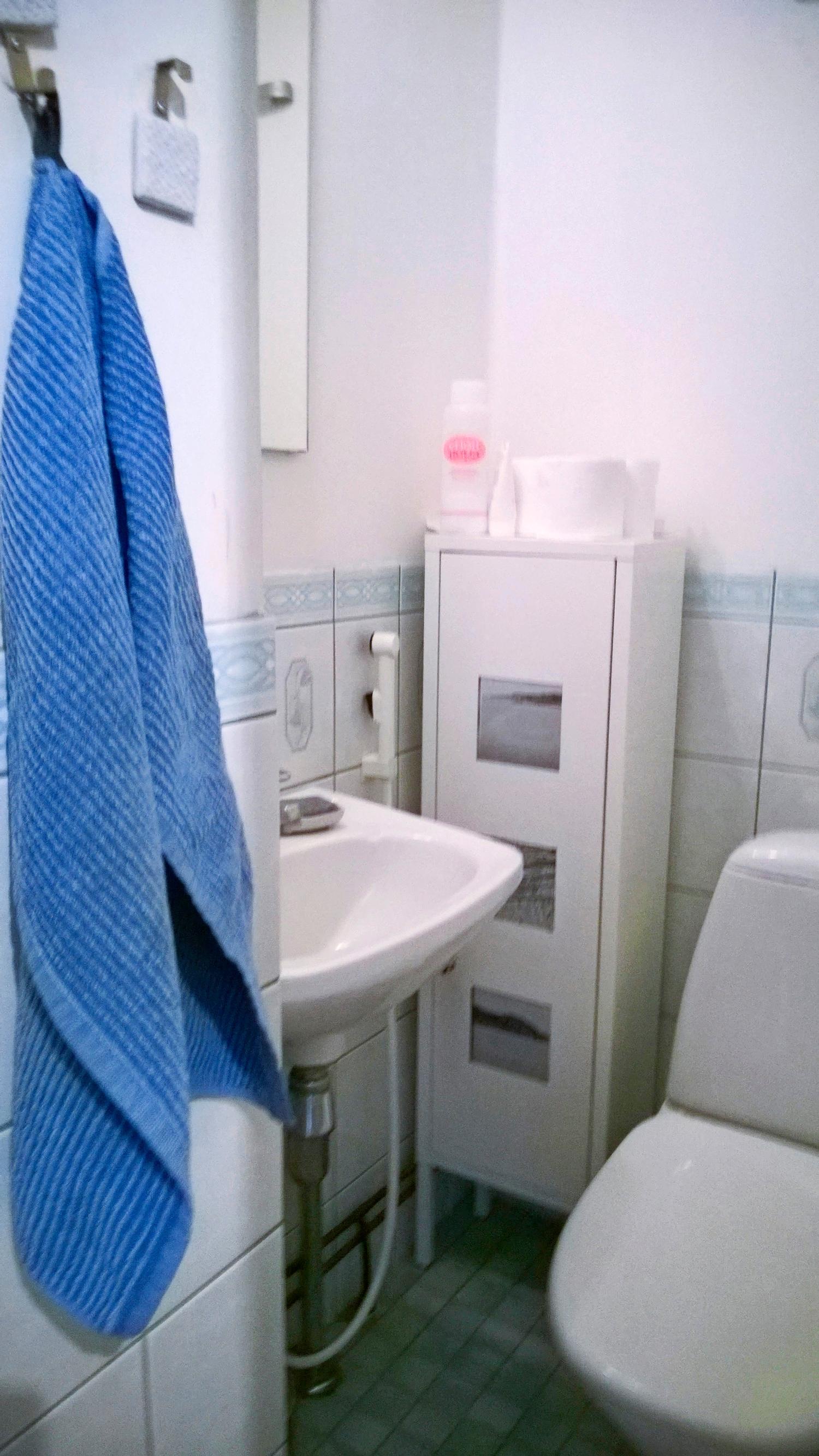 Vessa ennen remonttia