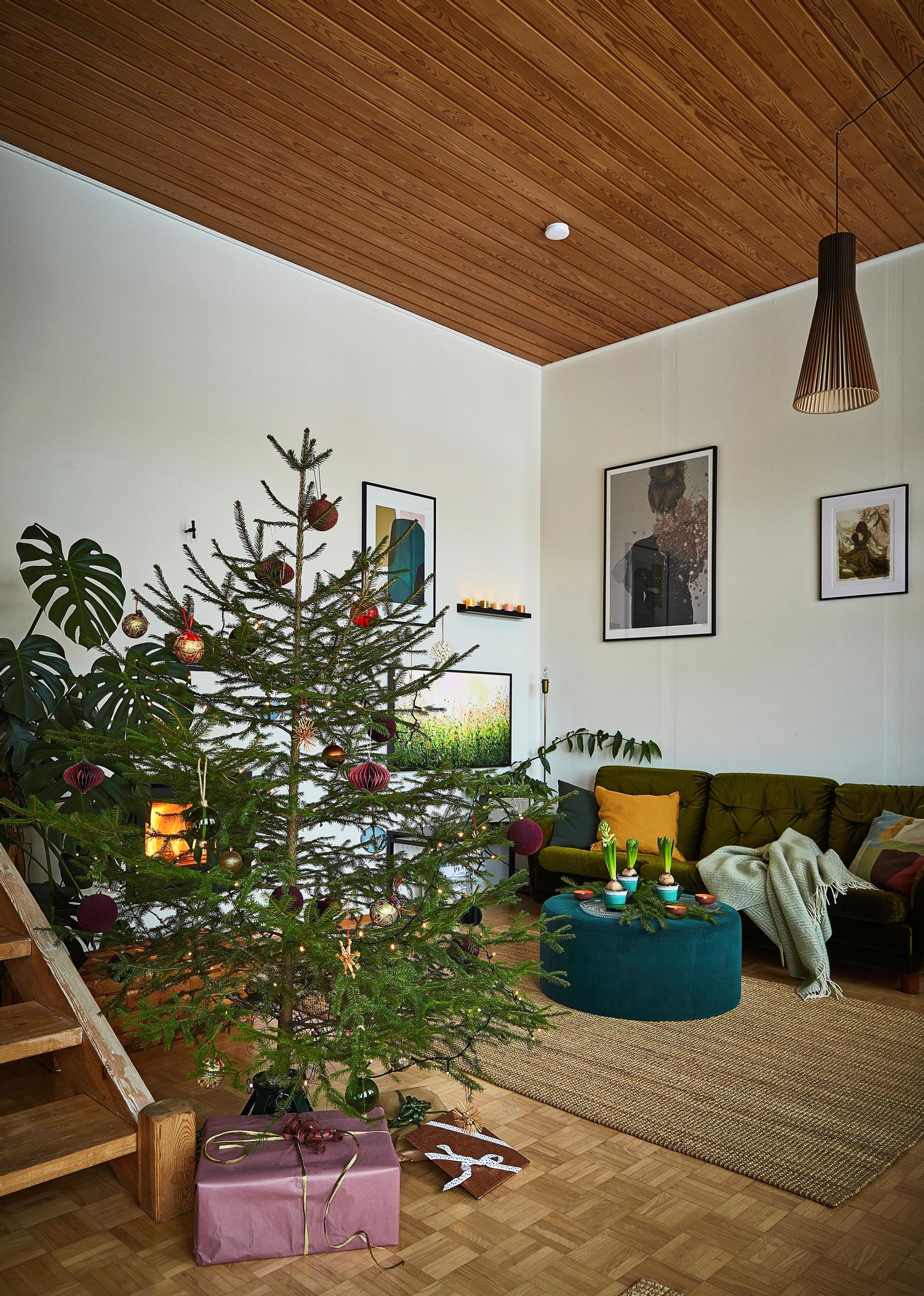 Joulukuusi ja korkea olohuone.