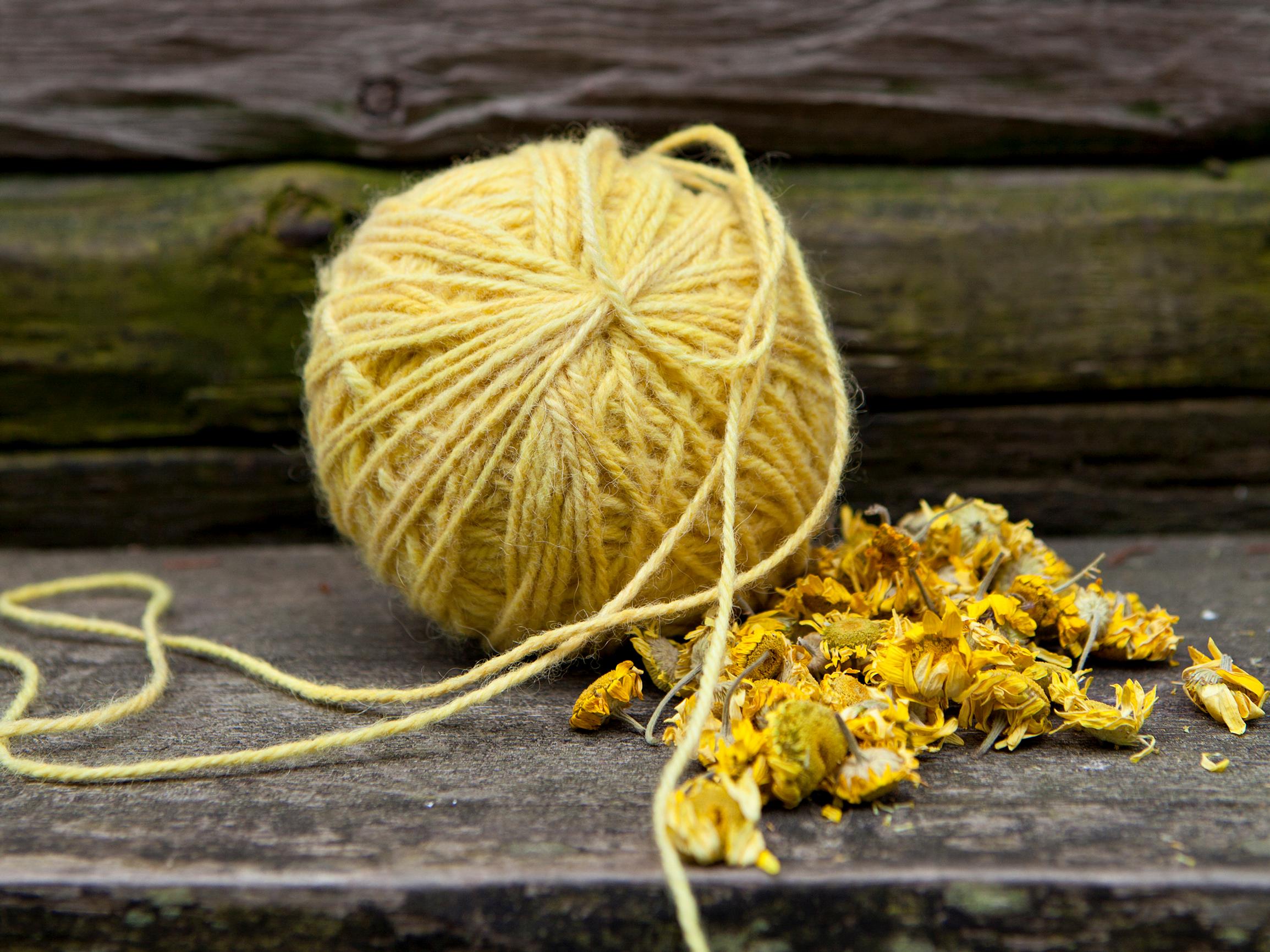 Mitä luonnonväreillä voi värjätä? Millä kasveilla saa upeimmat sävyt? Asiantuntijan vinkit ja vaihe vaiheelta -ohjeet kasveilla ja sienillä värjäämiseen