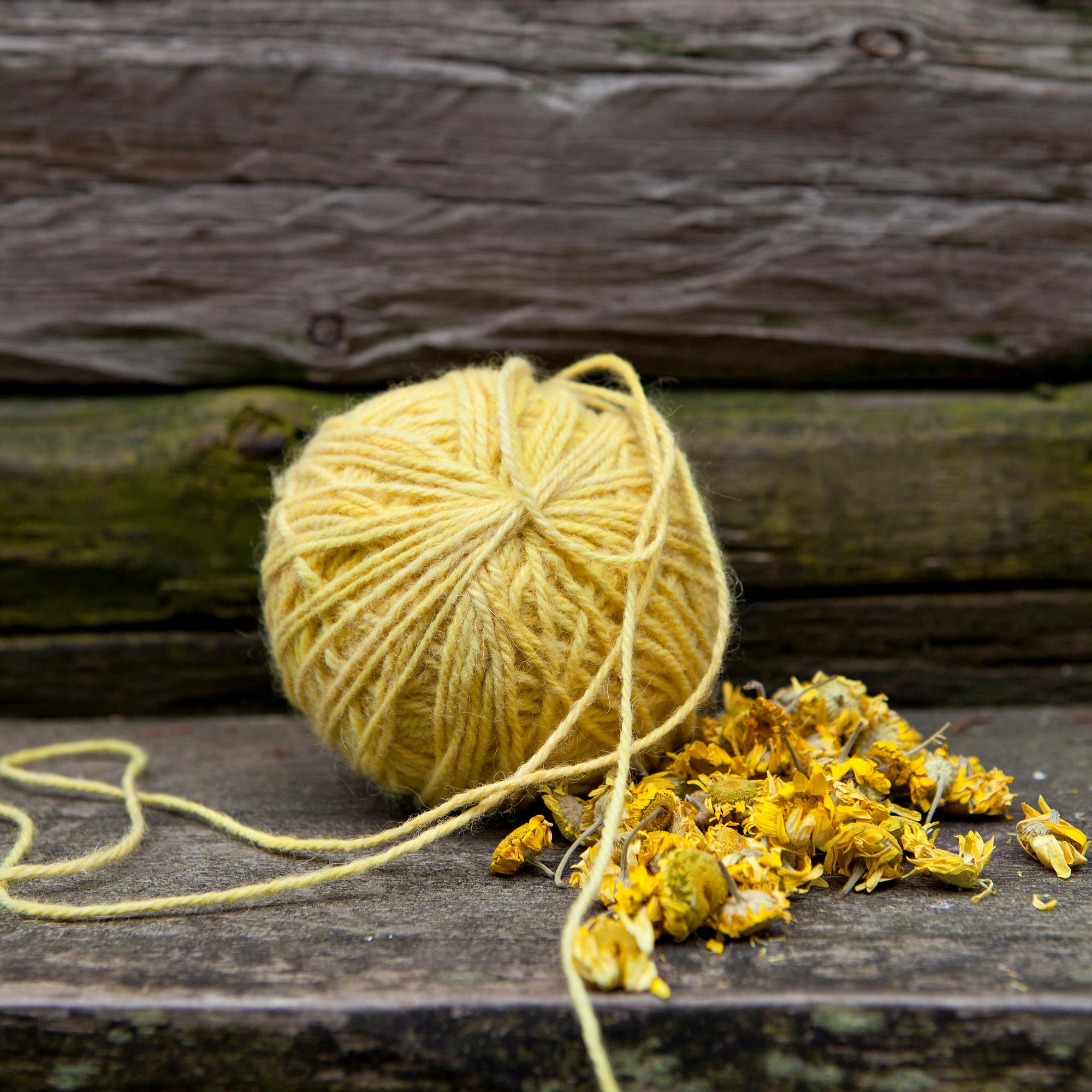 Mitä luonnonväreillä voi värjätä? Millä kasveilla saa upeimmat sävyt? Asiantuntijan vinkit ja vaihe vaiheelta -ohjeet kasveilla ja sienillä värjäämiseen