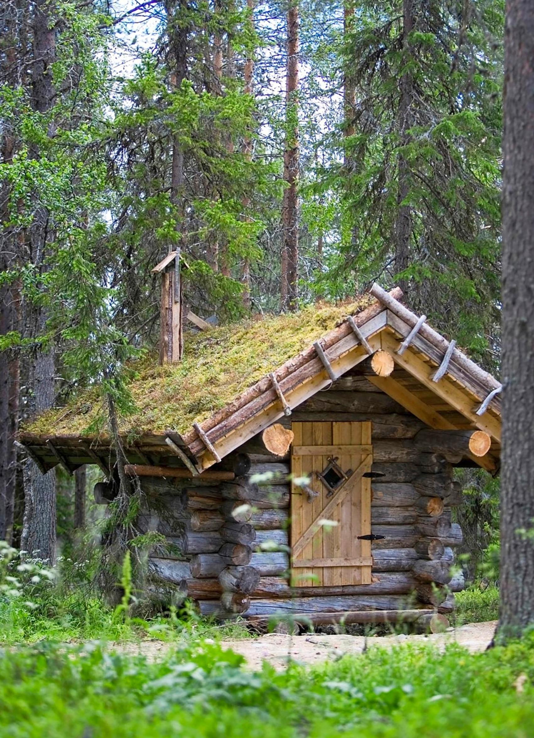 Hirsihuussi turvekatolla