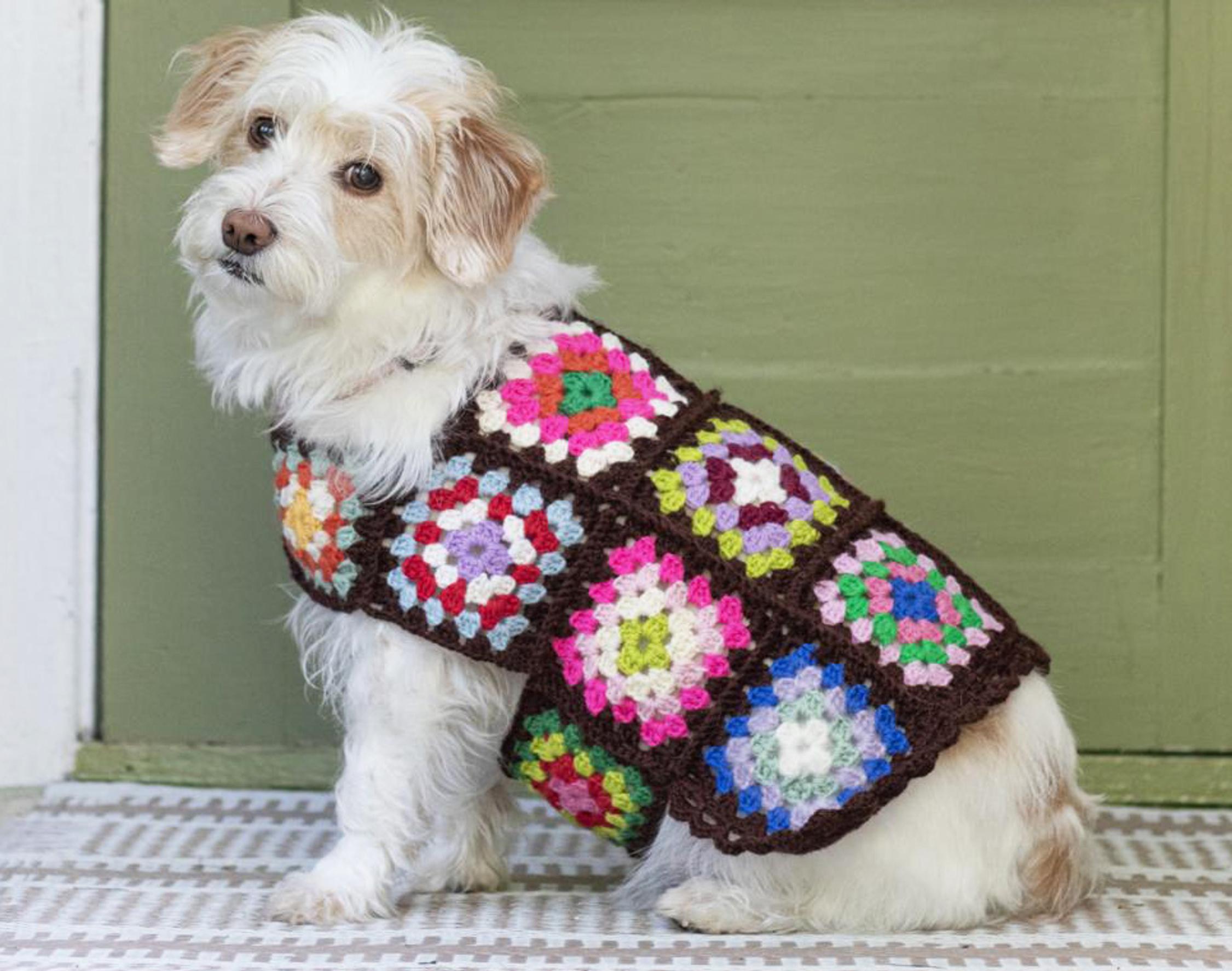 Virkkaa koiran neule isoäidinneliöistä – parhaan kaverin lämmike syntyy pala palalta