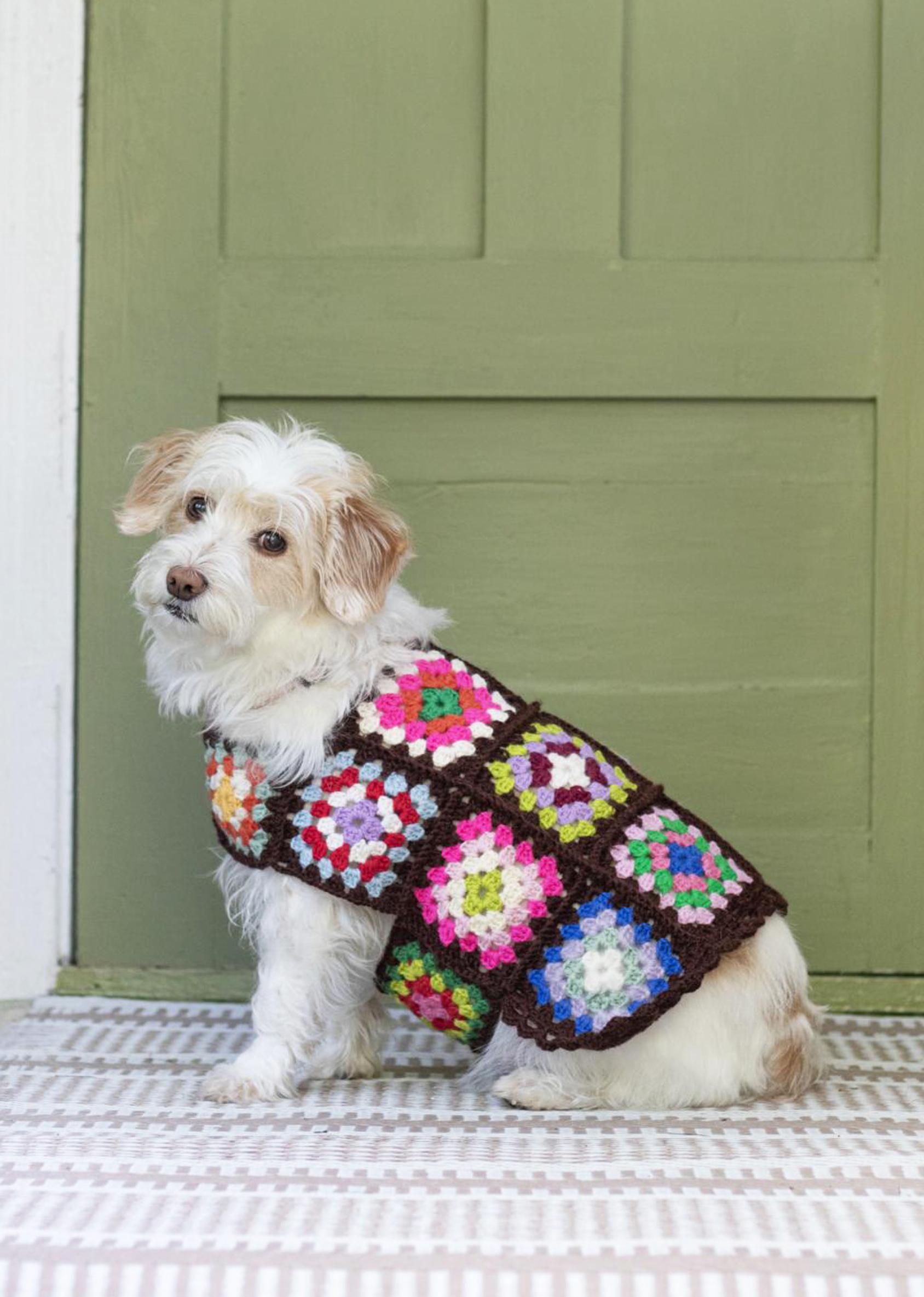 Koiran virkattu neule