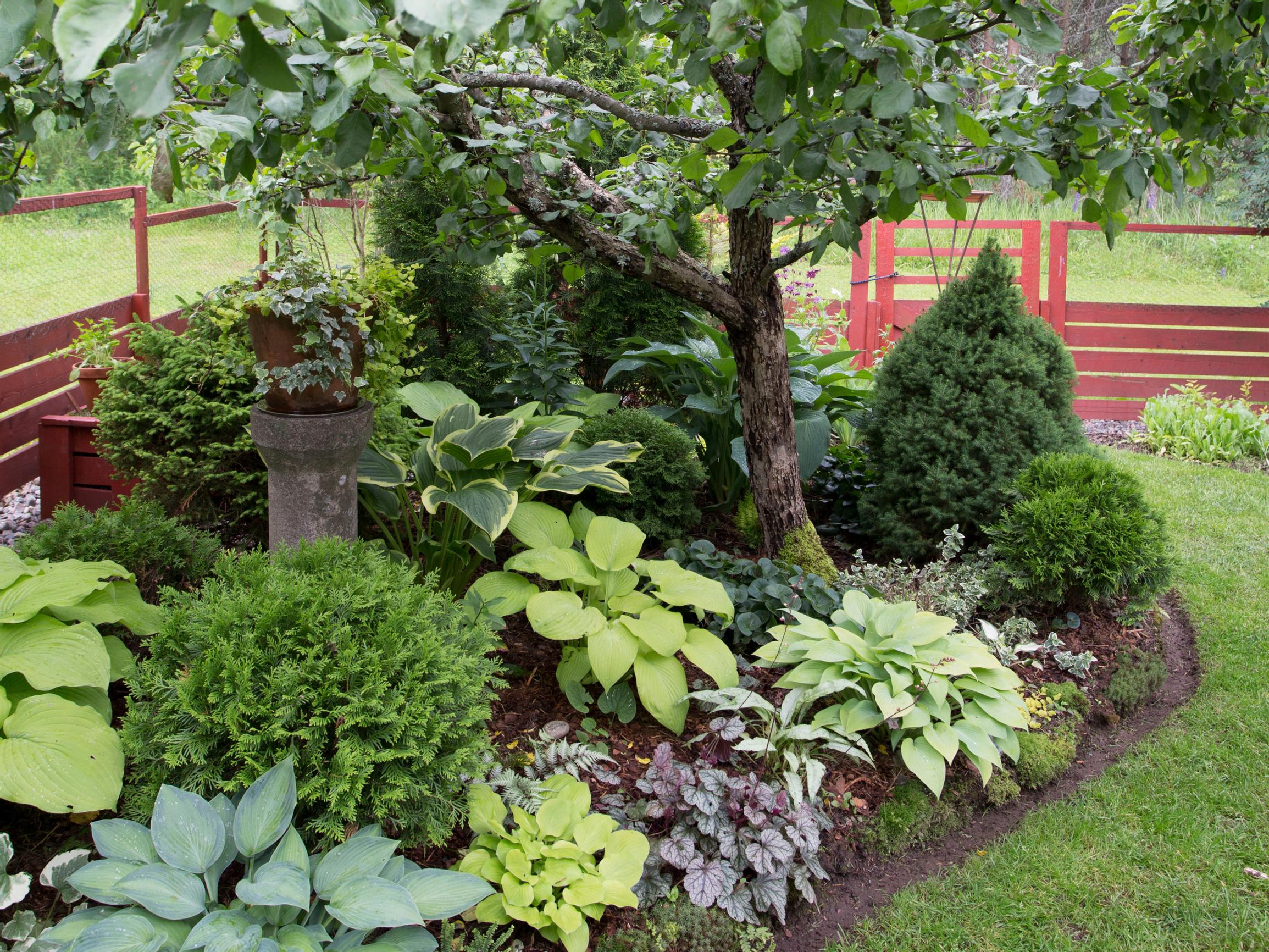 Lehtien lumoa! 11 upeaa puutarhanäkymää, jotka hurmaavat lehtien muodoilla ja väreillä – nämä istutusalueet eivät kukkia kaipaa