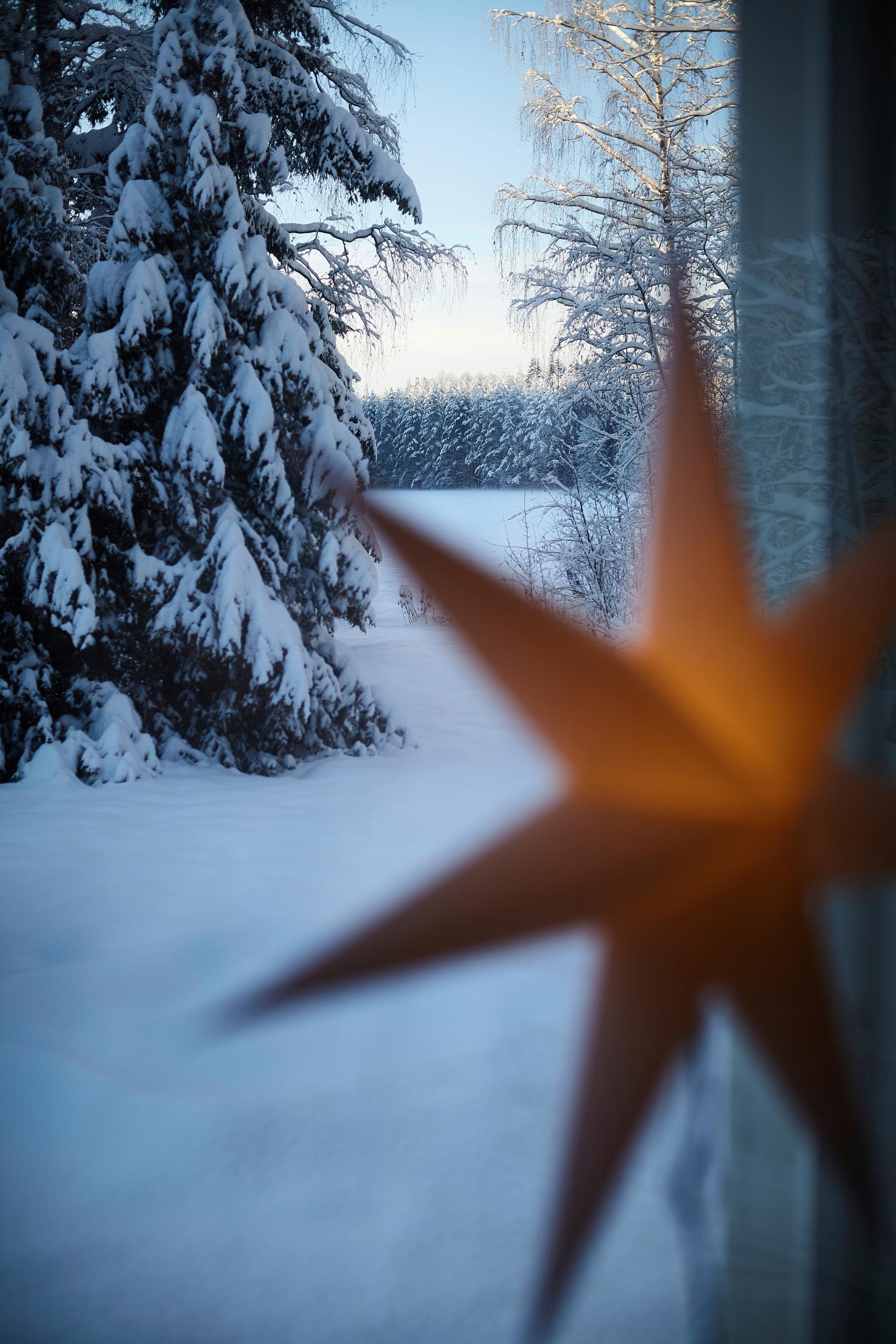 vaalea joulutähti etualalla roikkuu ikkunasta, taustalla näkyy luminen järvenranta ja kuusi