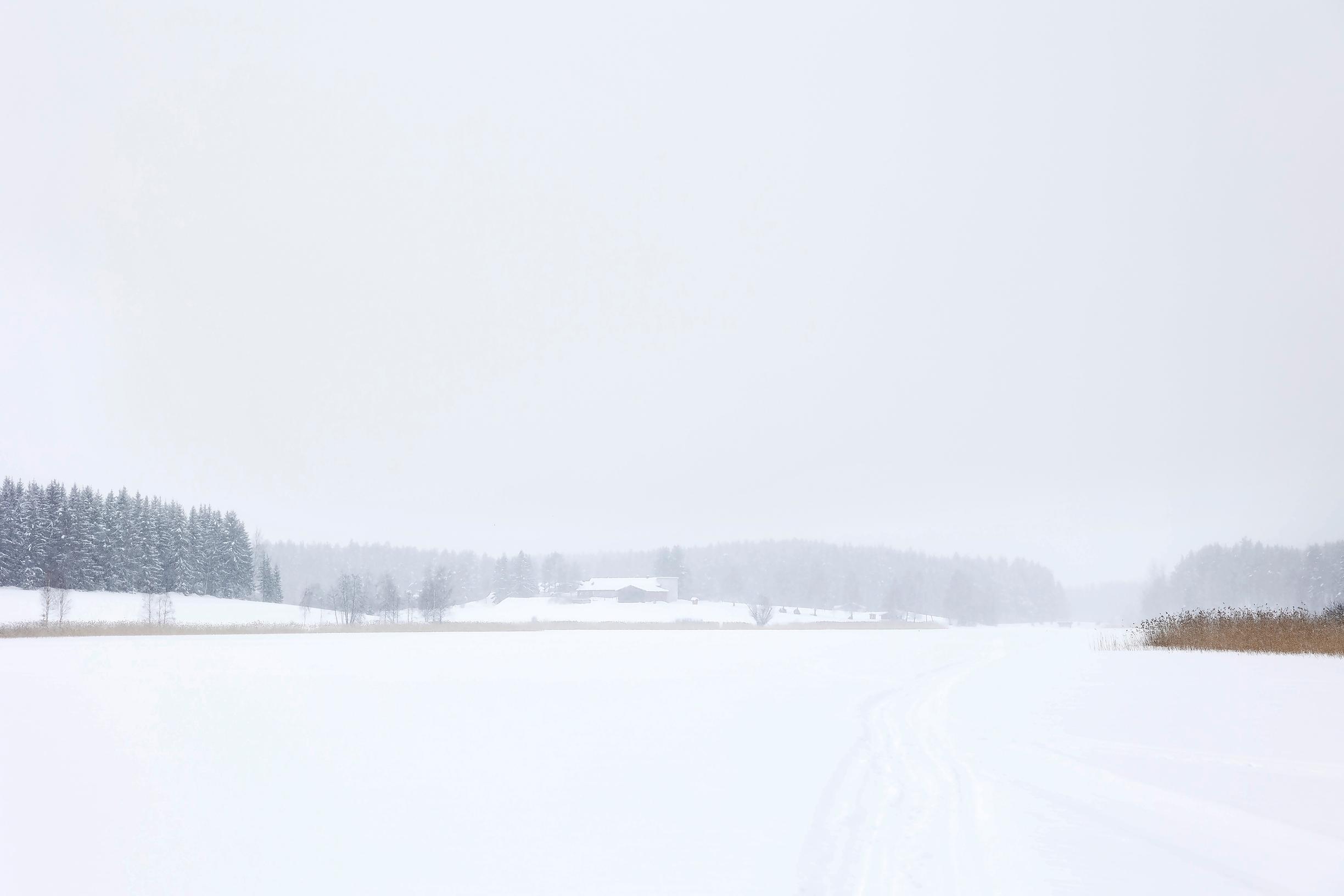 Järvimaisema Kallavedellä
