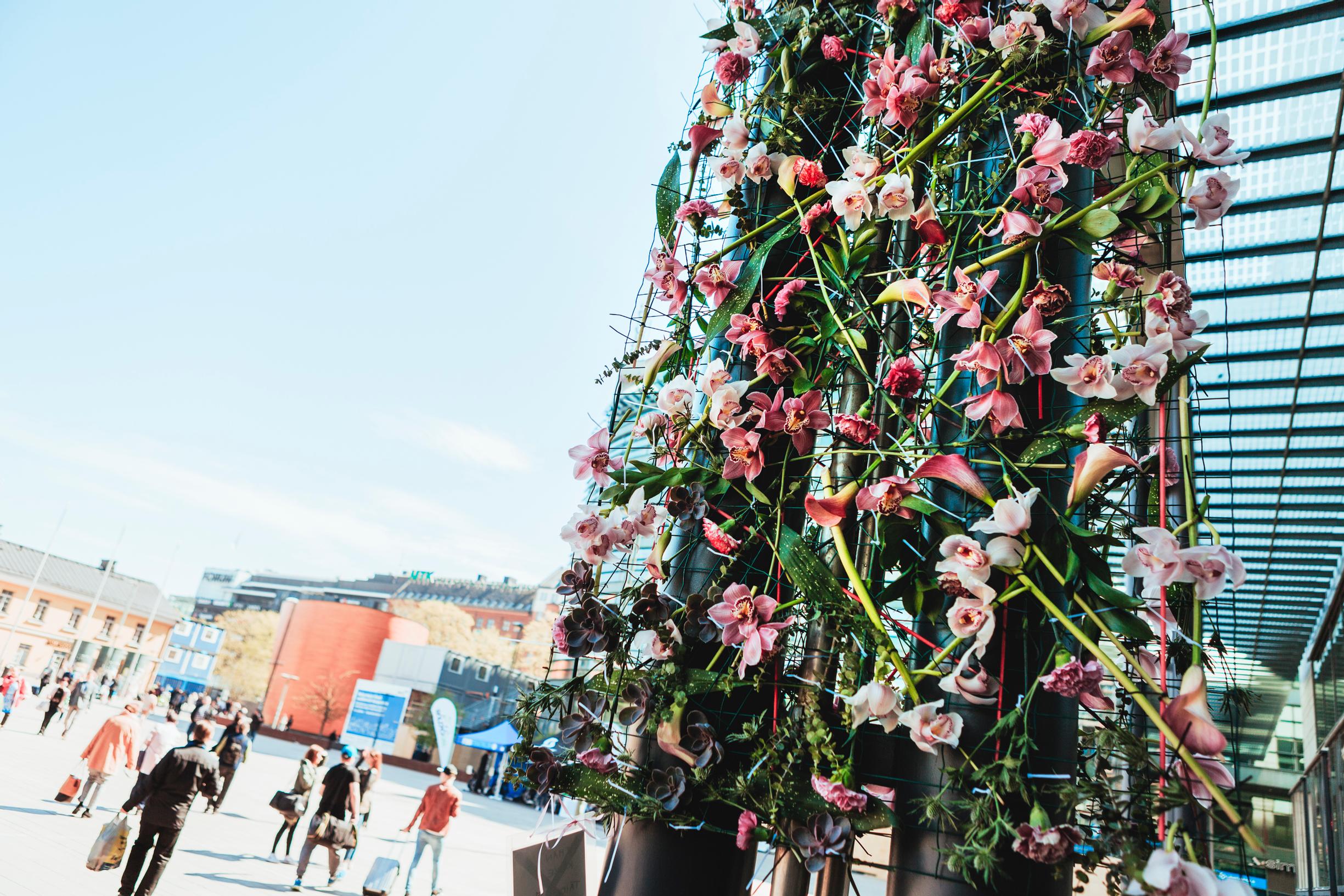 Kukkatori ja kasvien sukusaloja – poimimme 4 tärppiä Ihana Helsinki -kaupunkifestivaalin 2019 ohjelmasta