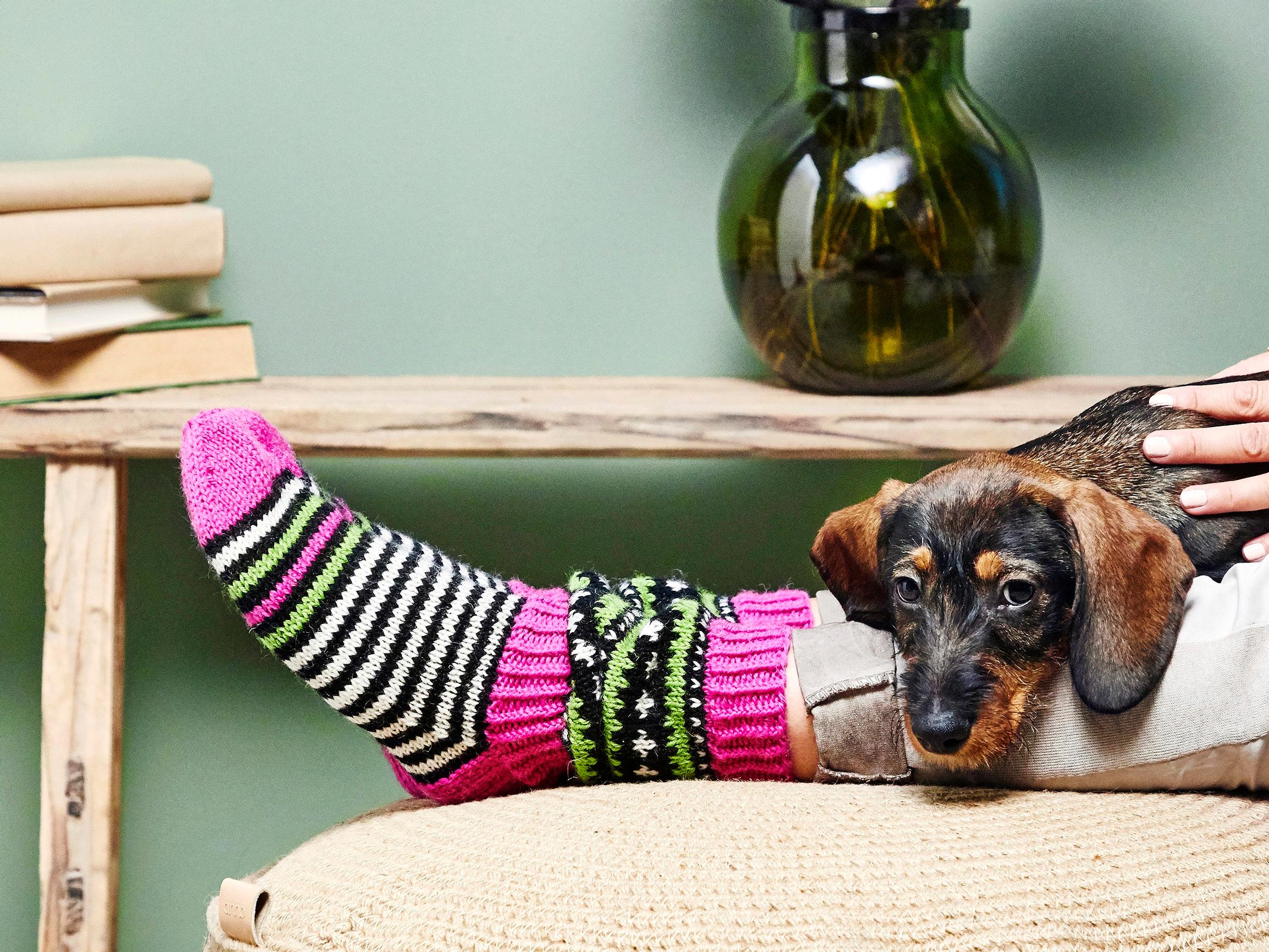 JonSukat-sukkien suunnittelijan Jonna Kalliomäen ohje lyhyisiin naisten sukkiin – Jonesit ovat kuin makeat karamellit!