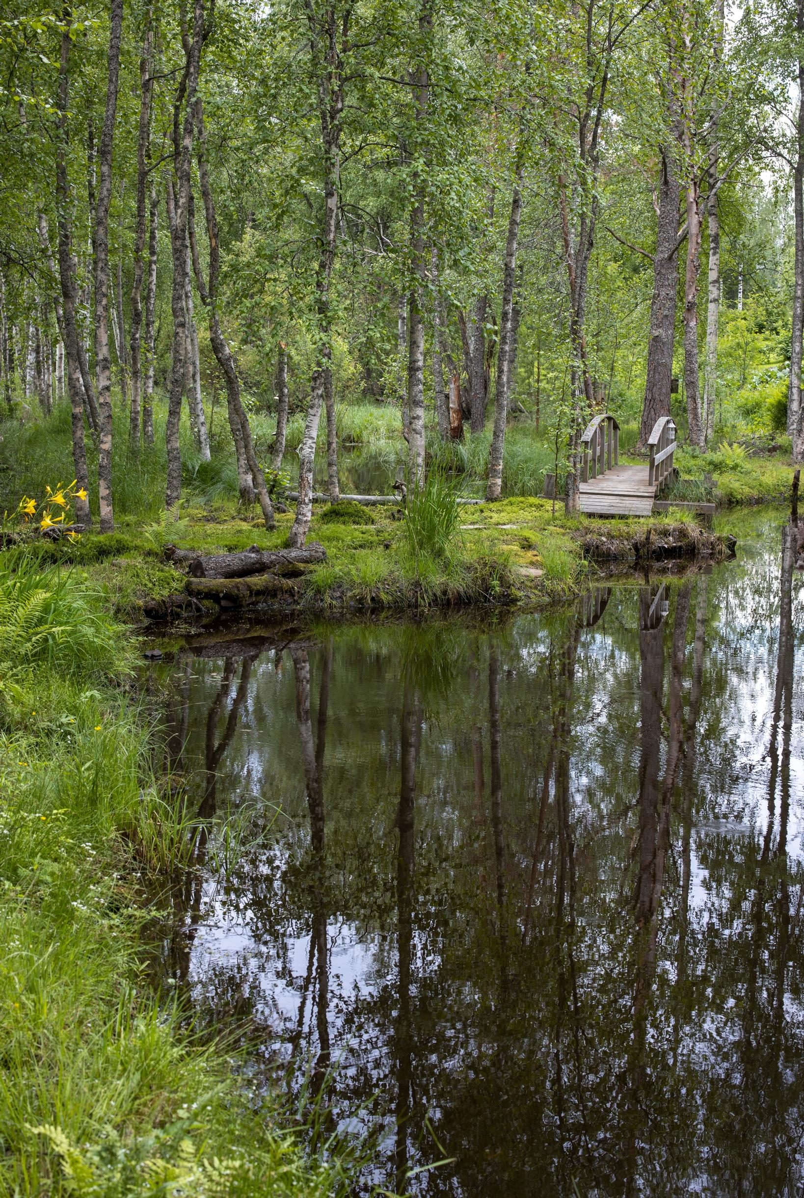 luonnonmukainen puutarha