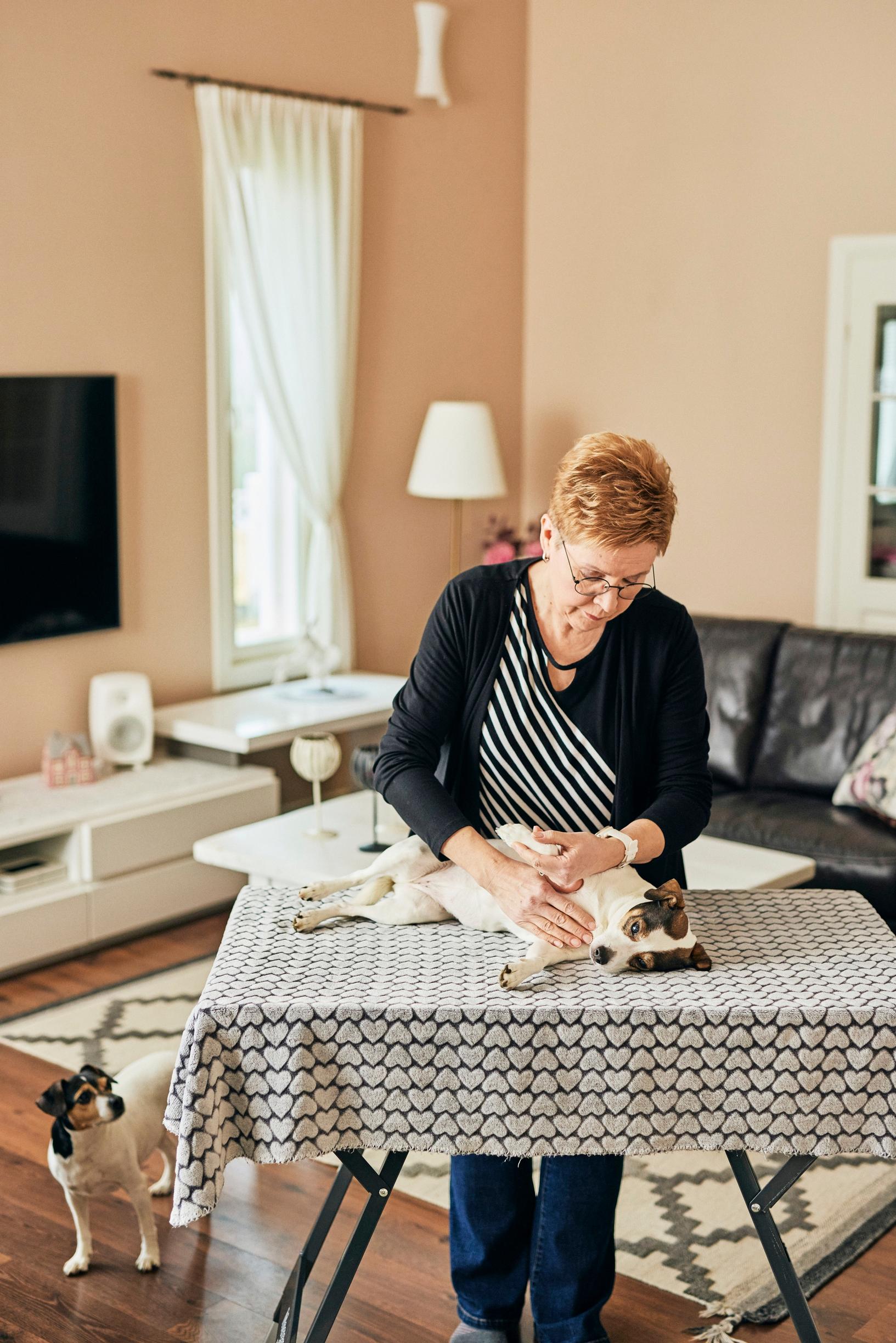 Kuva naisesta tekemässä koirahierontaa olohuoneessaan. 