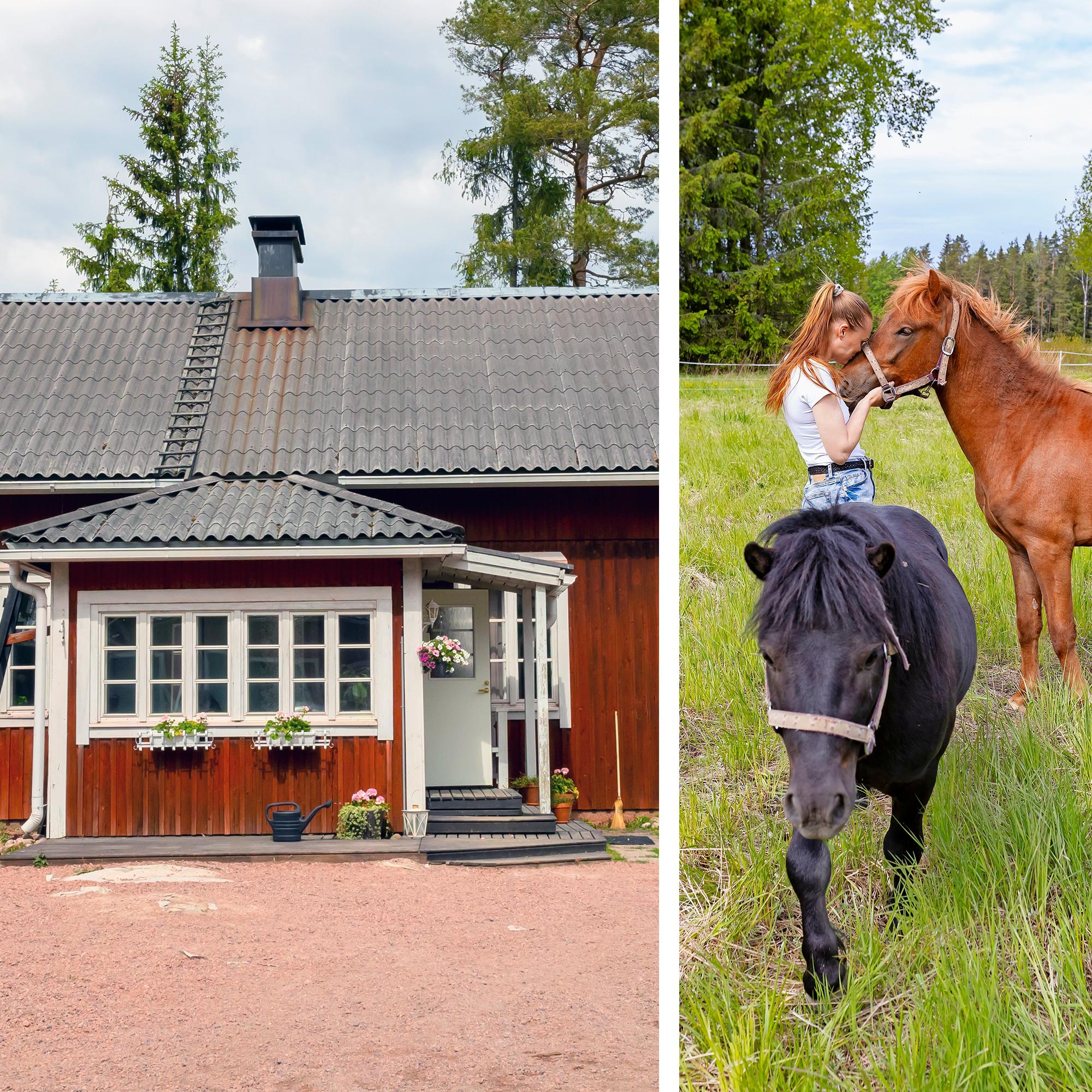 Maiju ja Riku loivat unelmiensa kodin 1930-luvun punaiseen puutaloon peltojen keskelle – lampaat, hevonen ja poni kruunaavat maalaisidyllin