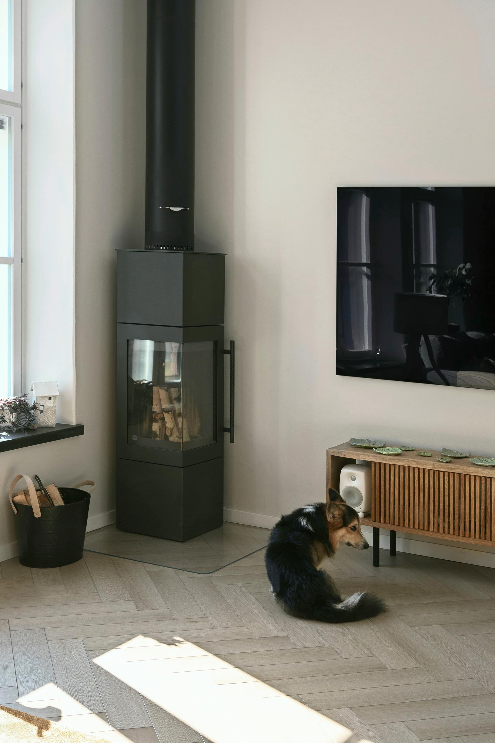 Nipsu-koira lekottelee modernin tulisijan ja Tuomaksen nikkaroiman tv- tason edessä.