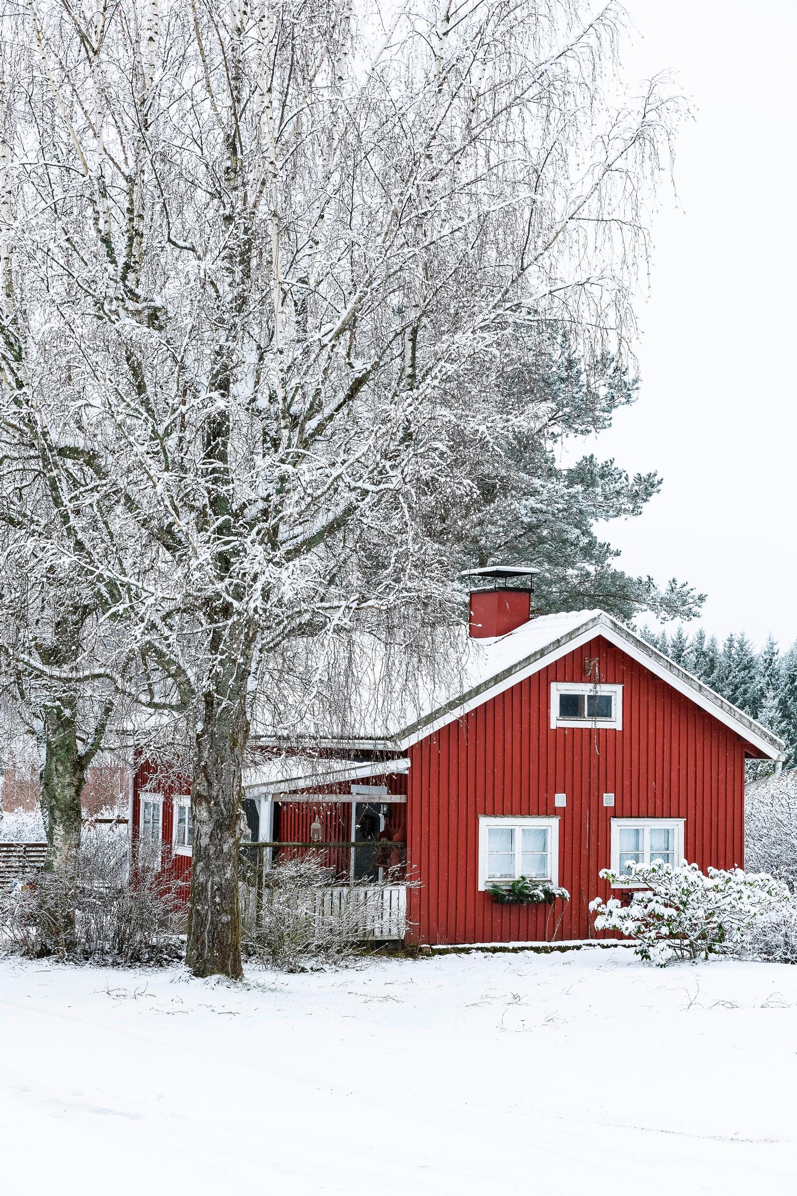 Punainen piharakennus
