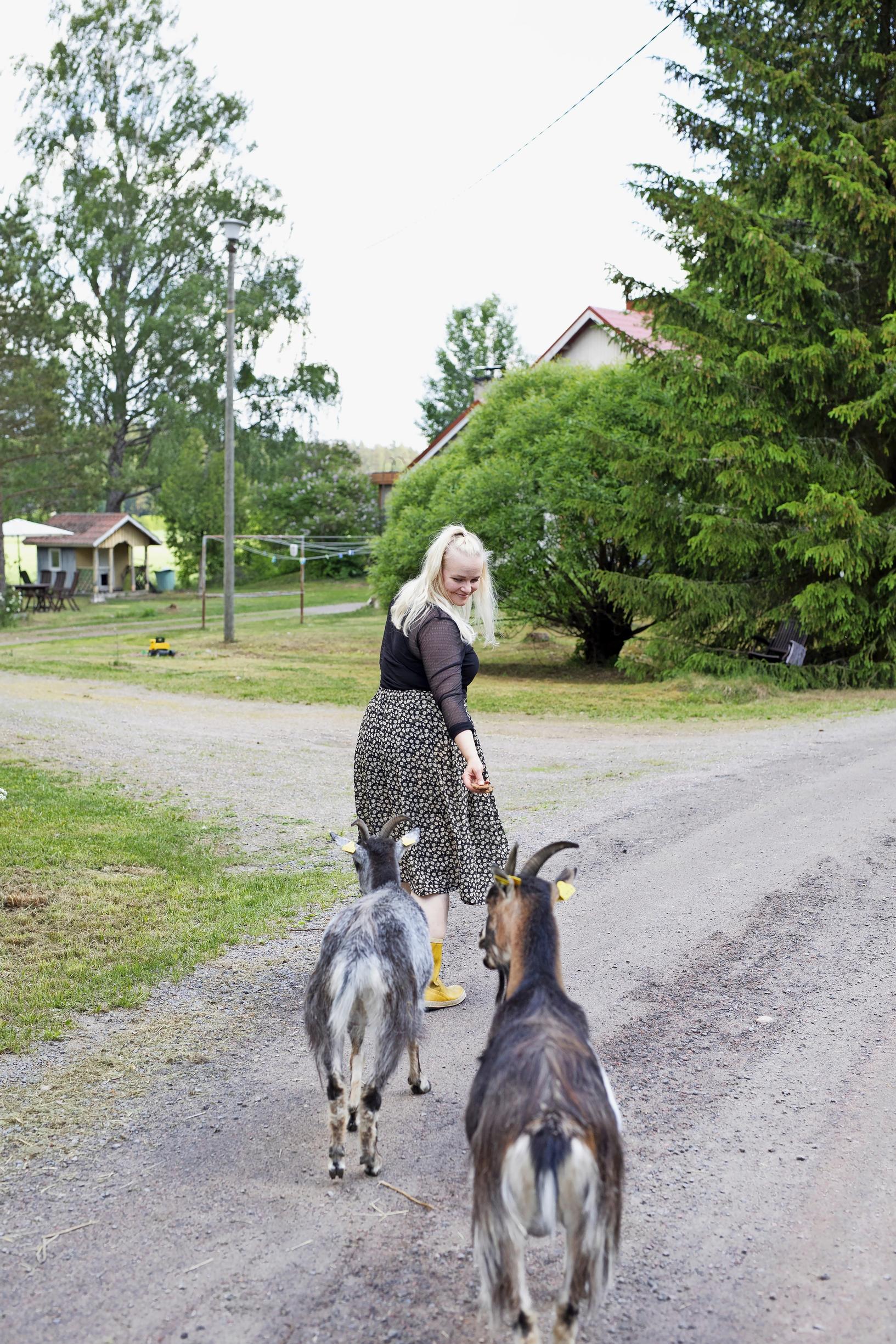 nainen kävelee pitkin hiekkatietä, kaksi vuohta seuraa perässä.