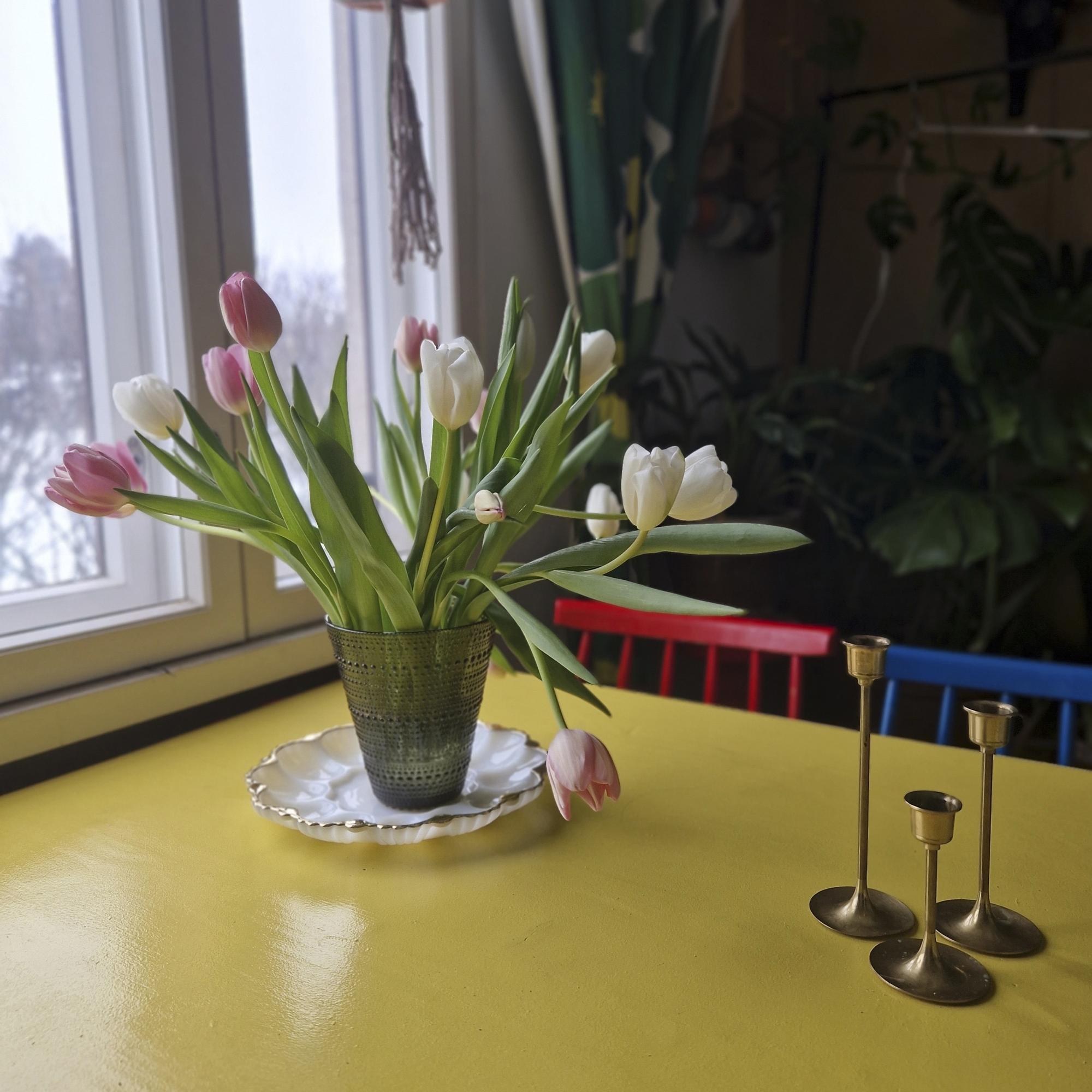 Tulppaaneja Kastehelmi-maljakossa