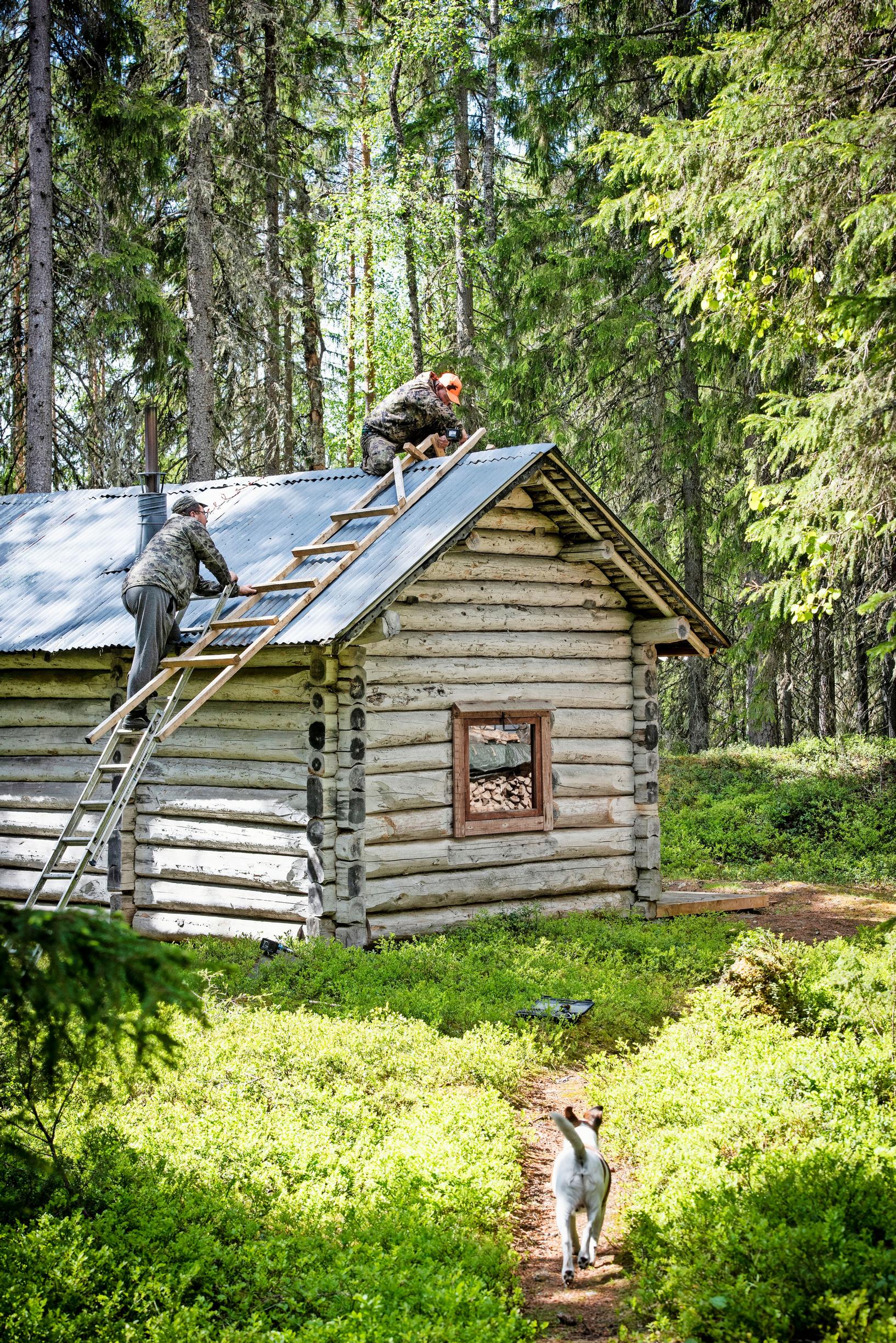 Hyrinän peltikaton kunnostamista