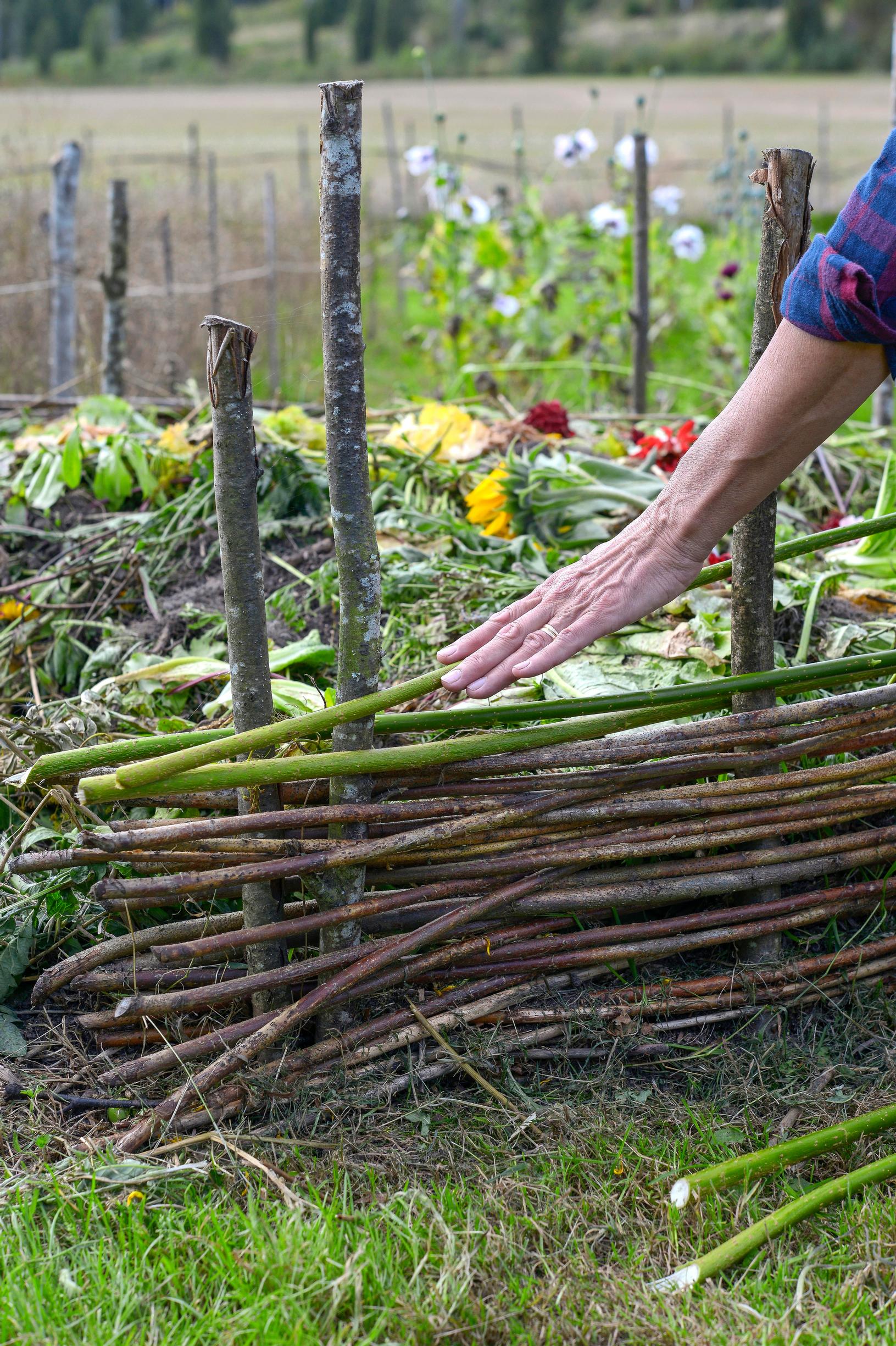 Pajutyöt: Palttinapunos sopii kompostikehikon ja penkin reunukseksi.
