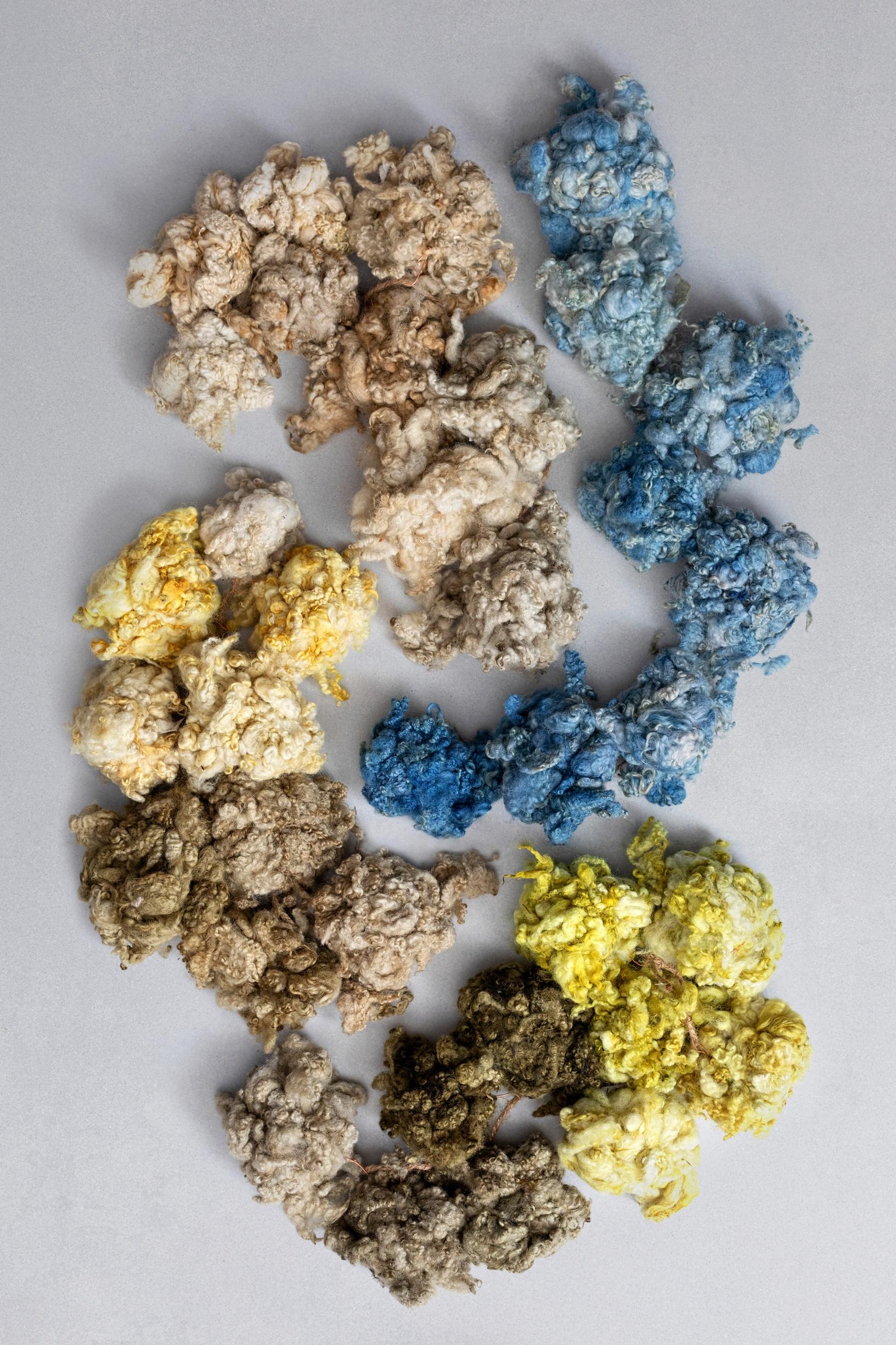 Luonnonväreillä värjättyjä villakuituja.