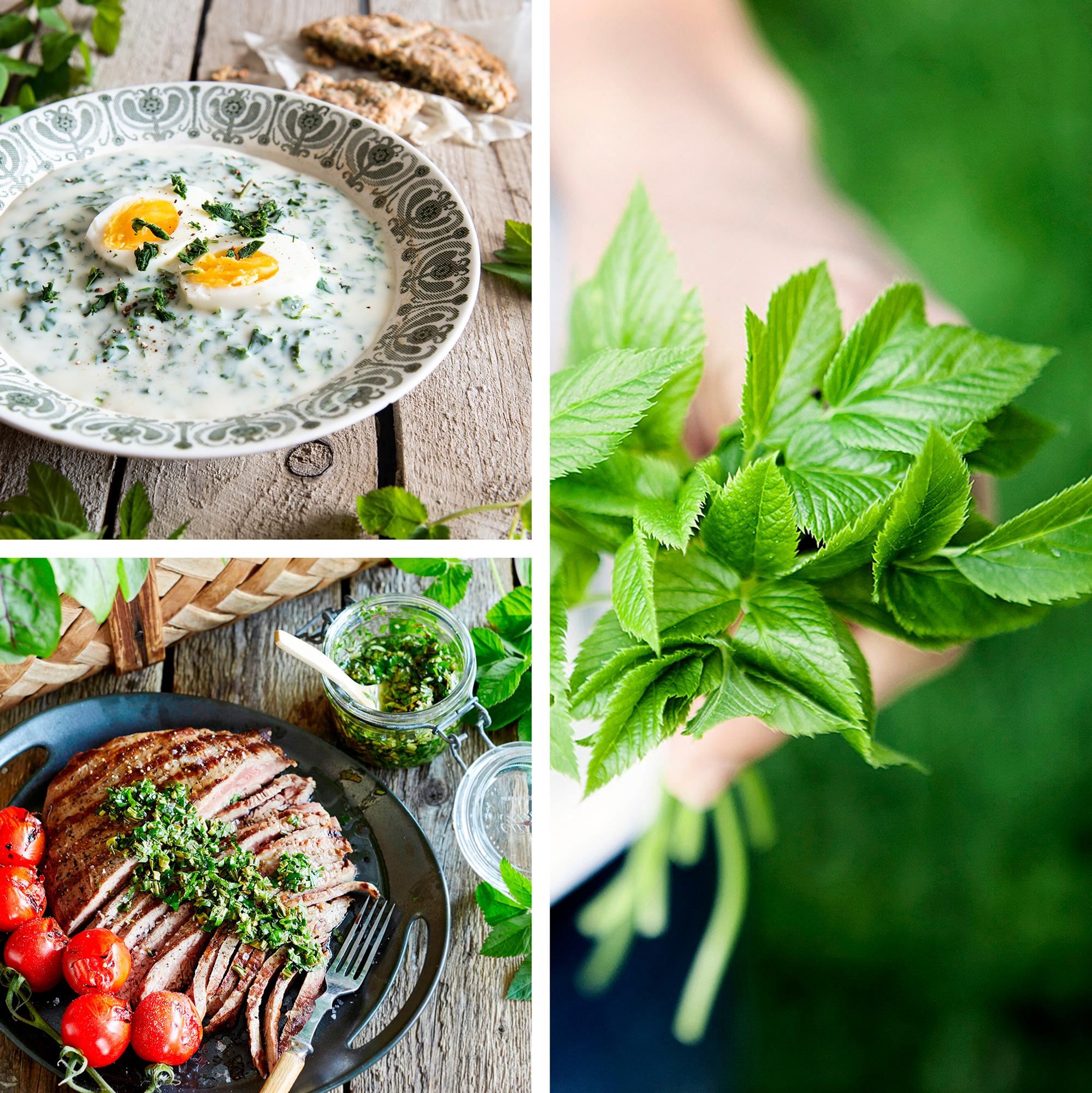 Puutarhurin riesa vuohenputki on mainio herkku – kokosimme 6 reseptiä, jotka tekevät rikkaruohojen nyppimisestä mukavampaa