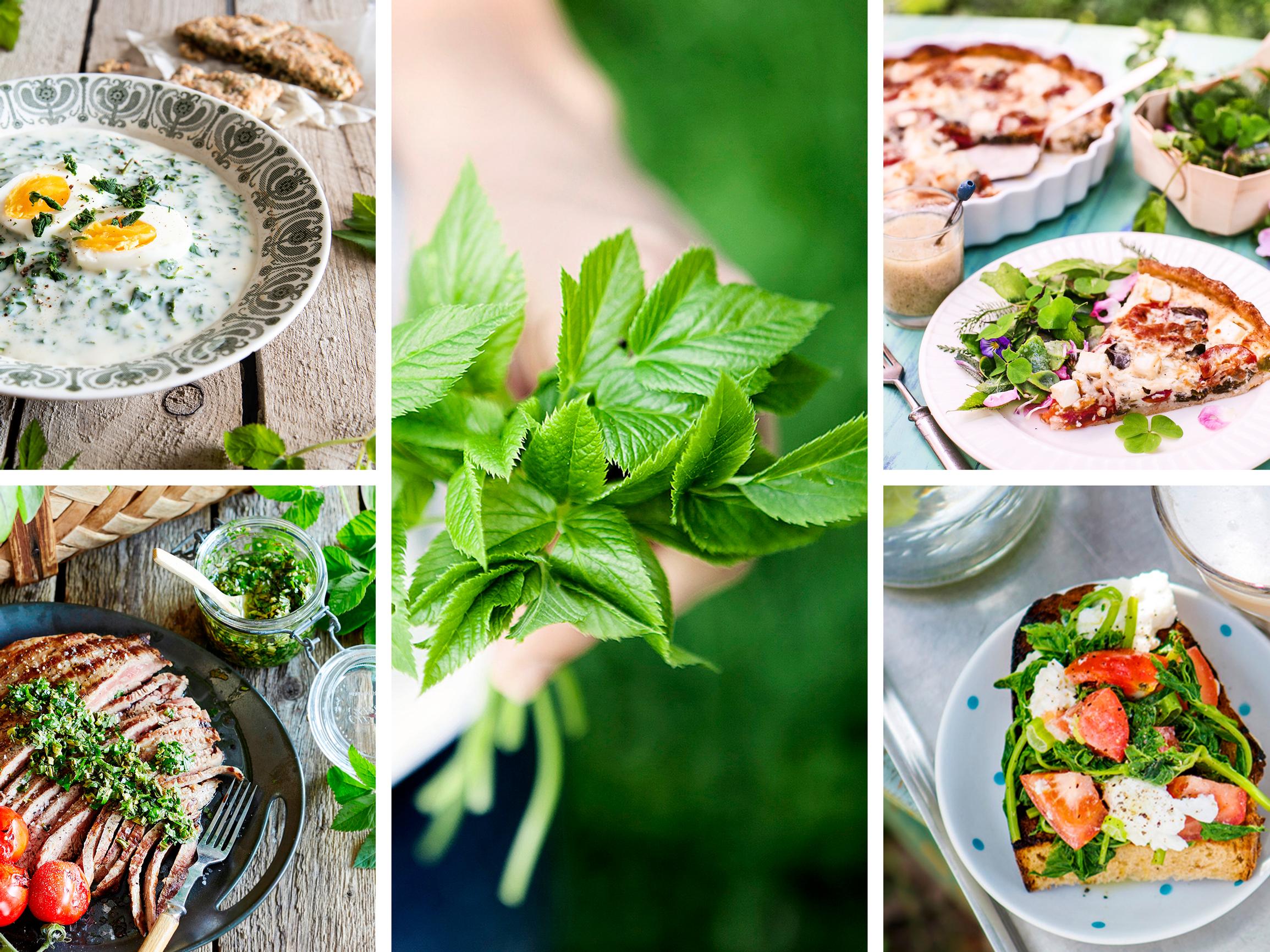 Puutarhurin riesa vuohenputki on mainio herkku – kokosimme 6 reseptiä, jotka tekevät rikkaruohojen nyppimisestä mukavampaa