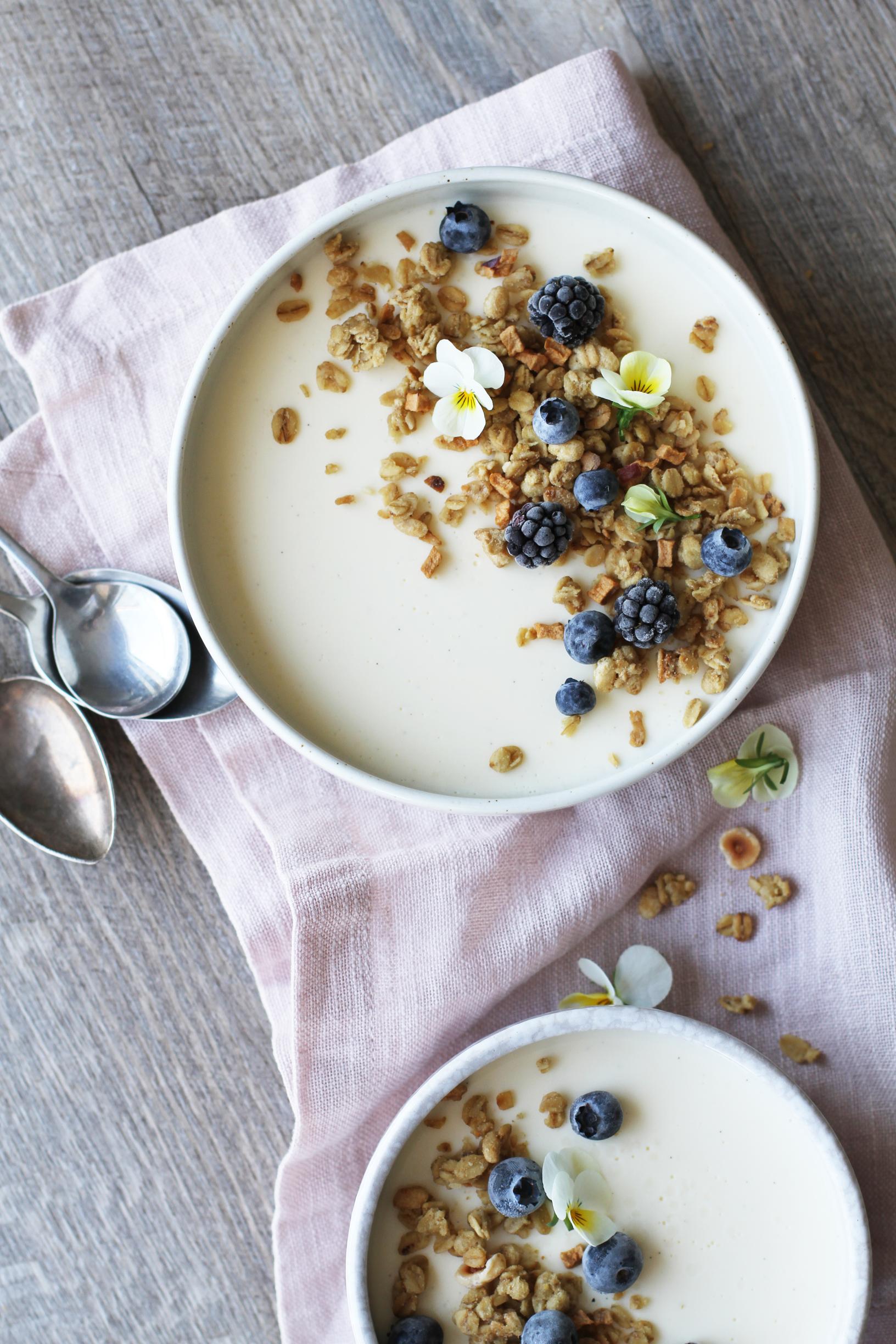 Mysli-jogurttipannacotta – katso resepti! | Maku
