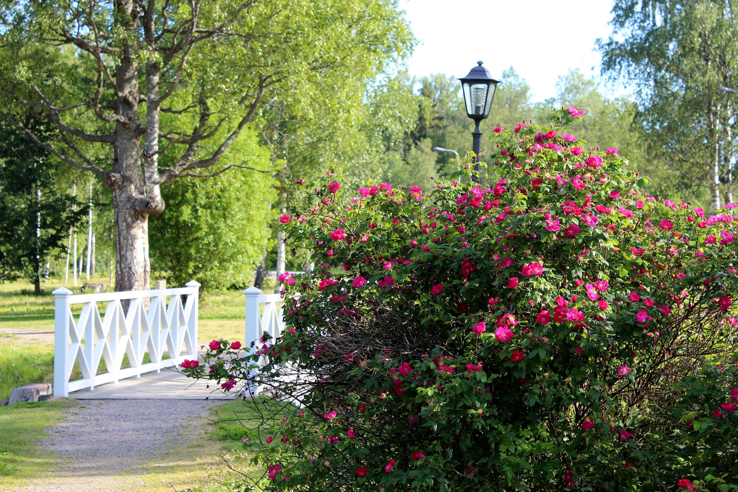 Lappeenrannan Kanavapuisto