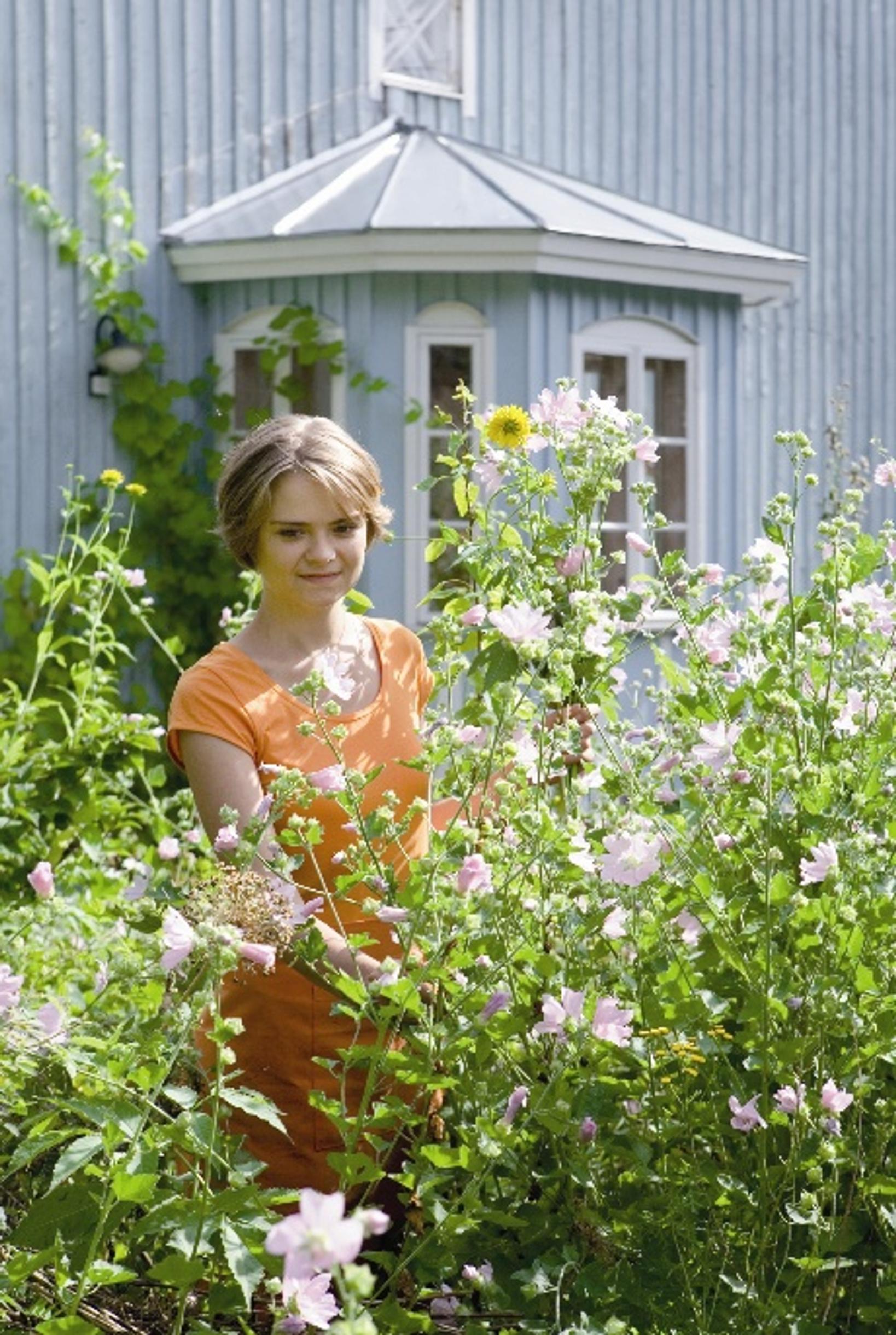 Piha kuntoon loppukesäksi