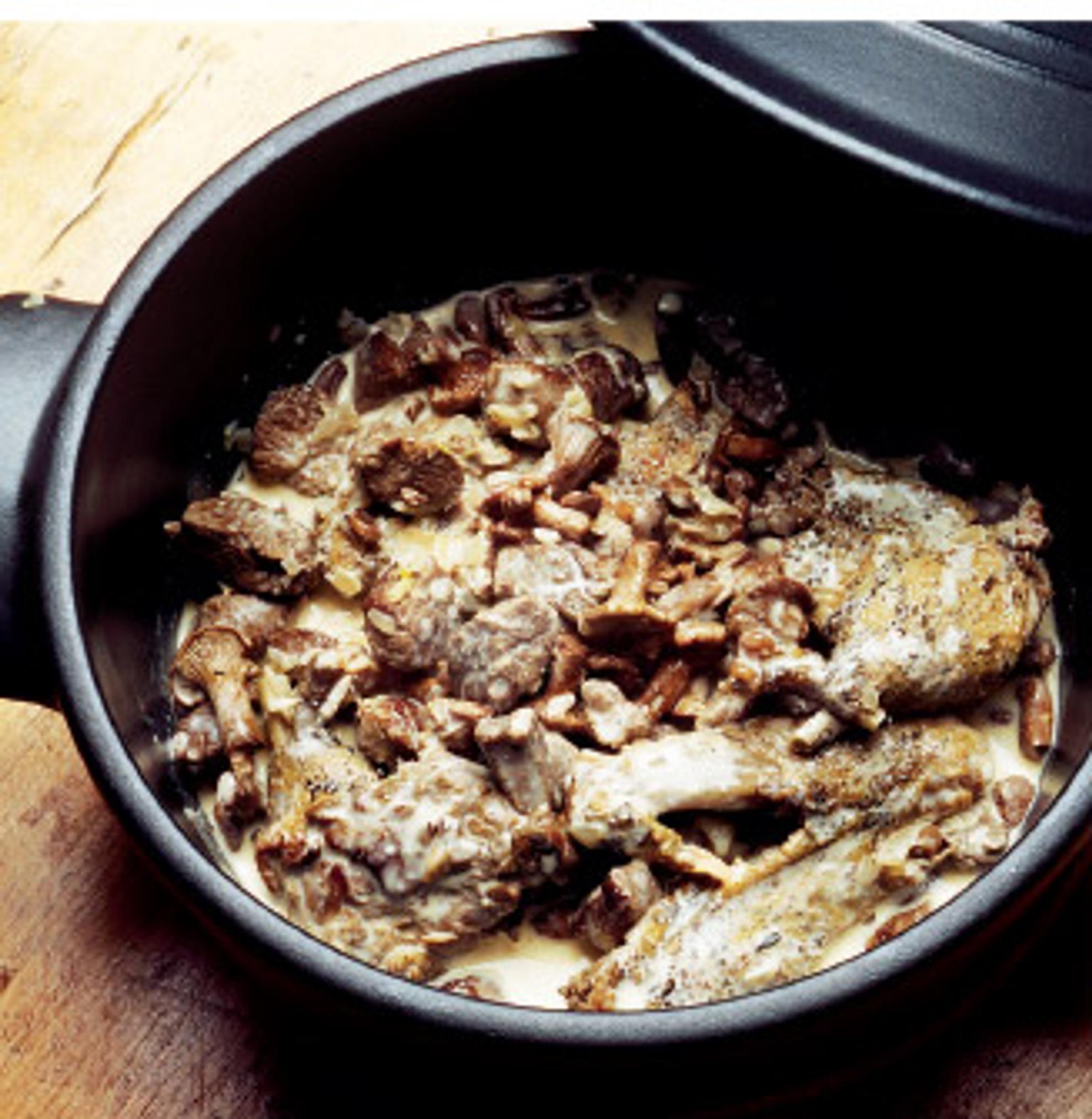 Metsämiehen sorsapata