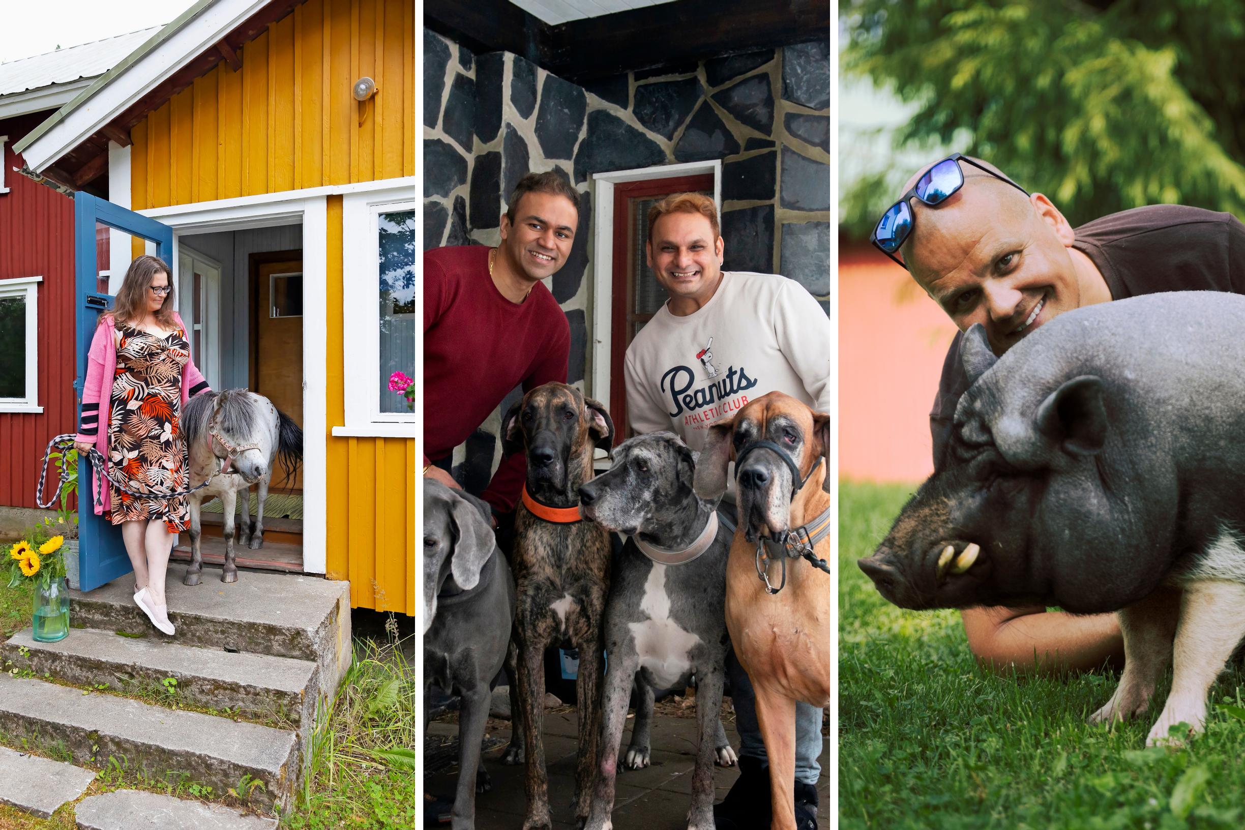 Hau mikä paikka! 5 × koti, jossa eletään eläinten ehdoilla – jopa niin, että lemmikeille on ikioma kerroksensa!