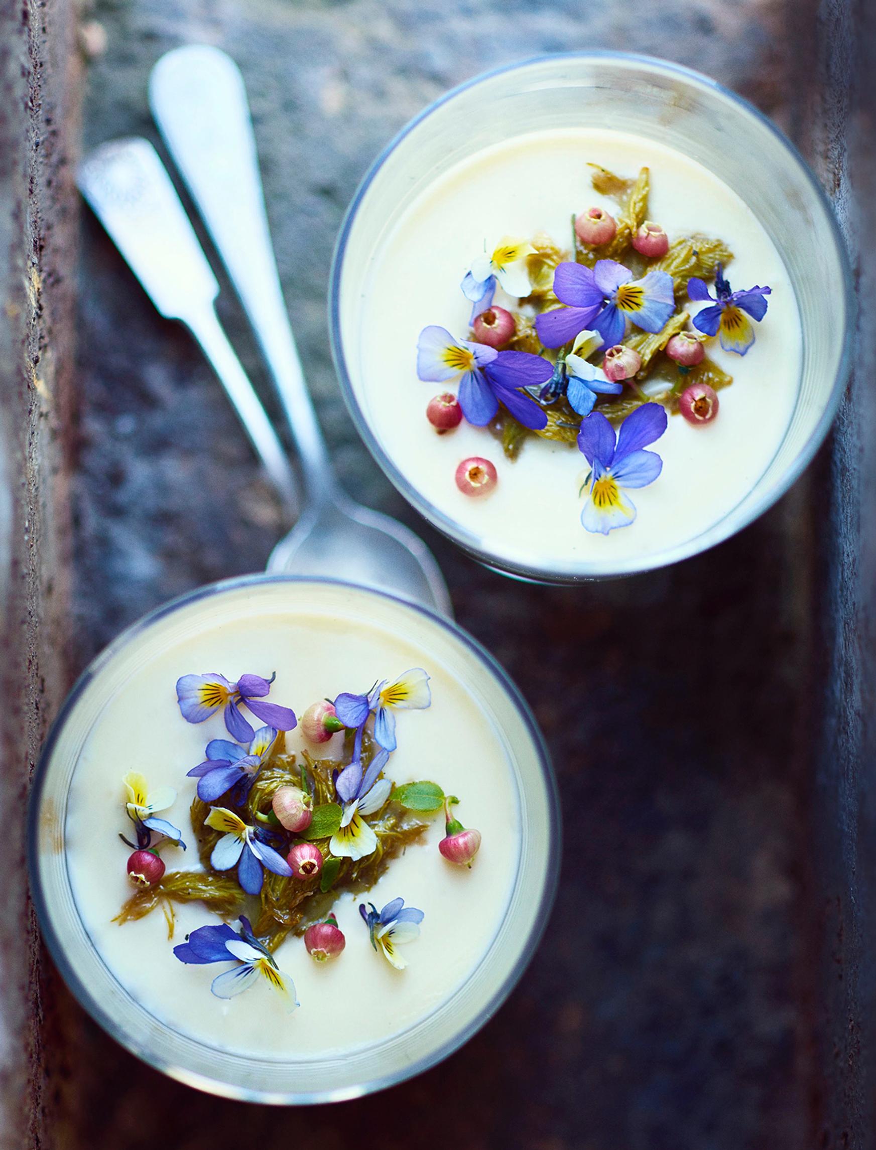 Kuusenkerkkäpannacotta