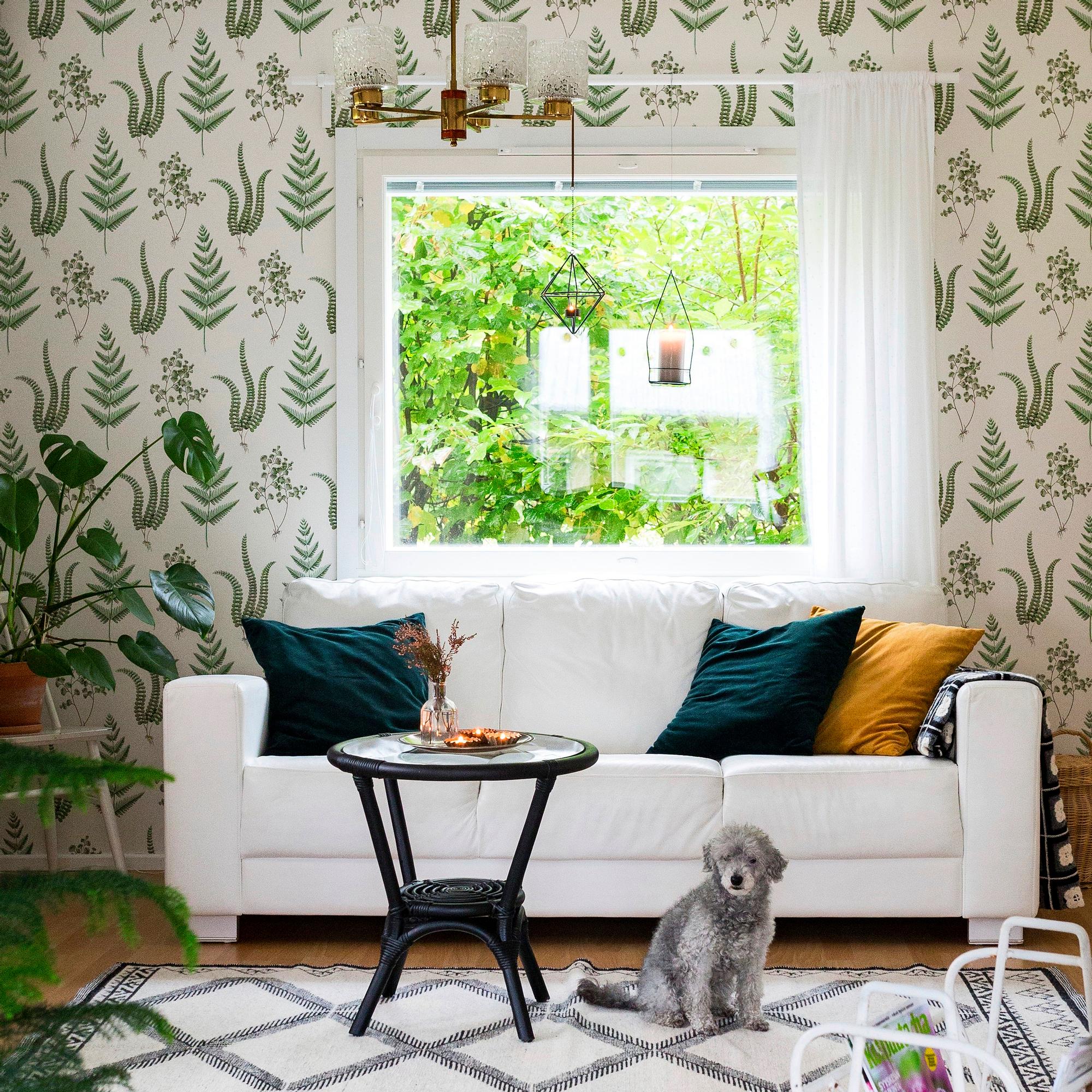 Papan rakentamasta rintamamiestalosta tuli vuosikymmenten jälkeen Miian perheen koti – ”Tuntuu hyvältä jatkaa suvun tarinaa”