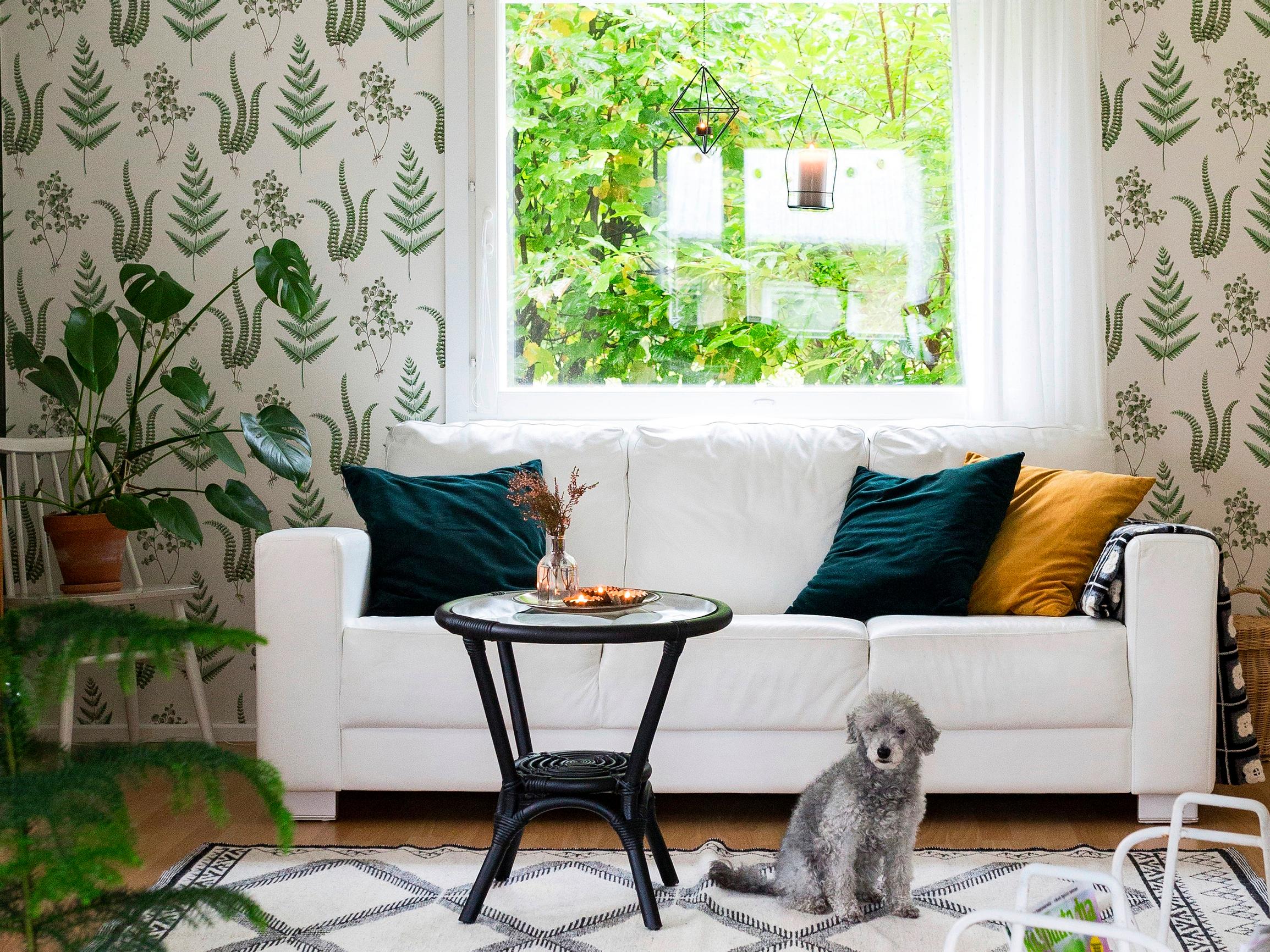 Papan rakentamasta rintamamiestalosta tuli vuosikymmenten jälkeen Miian perheen koti – ”Tuntuu hyvältä jatkaa suvun tarinaa”