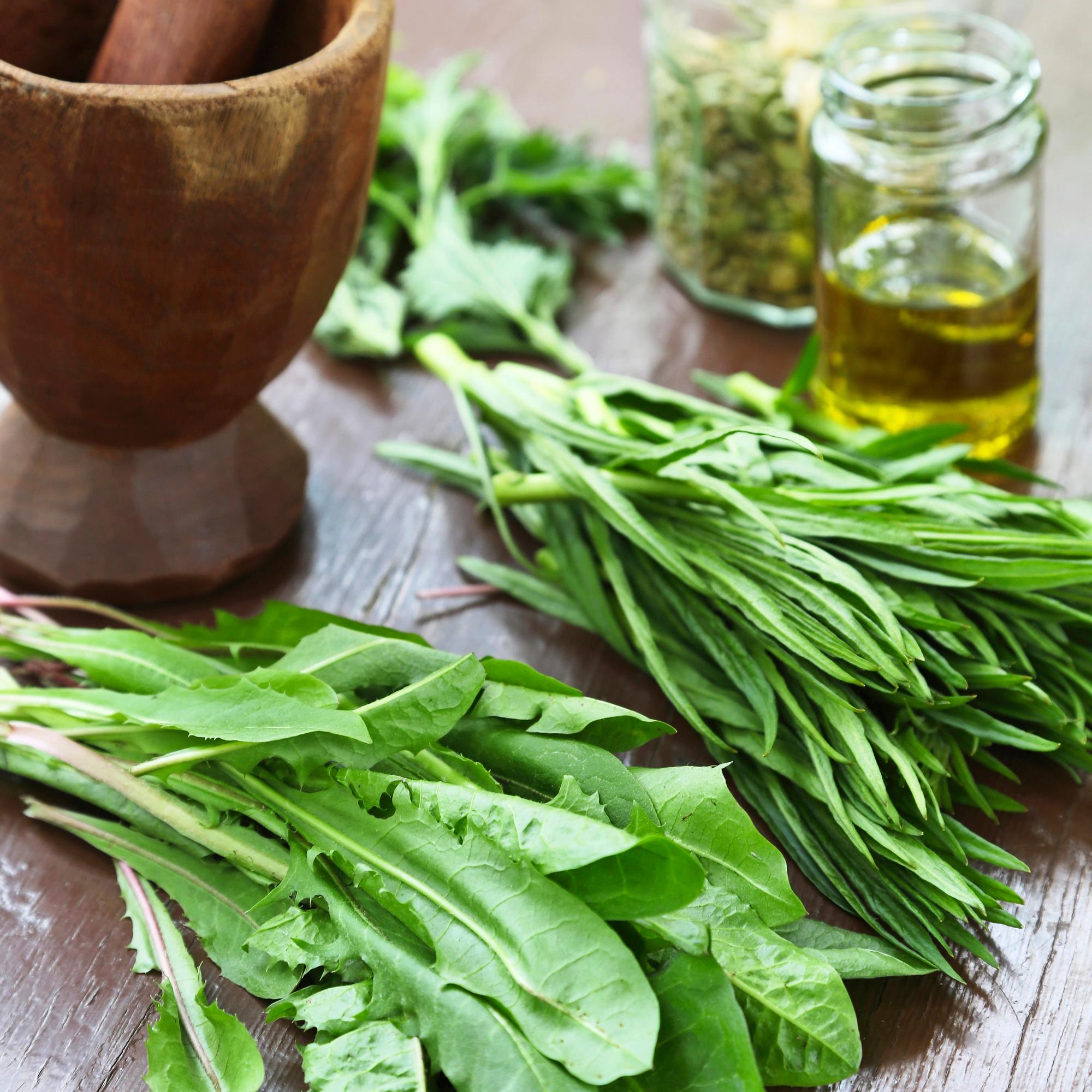 Voikukkapesto on todellista lähiruokaa – valmista herkkutahna 5 minuutissa!