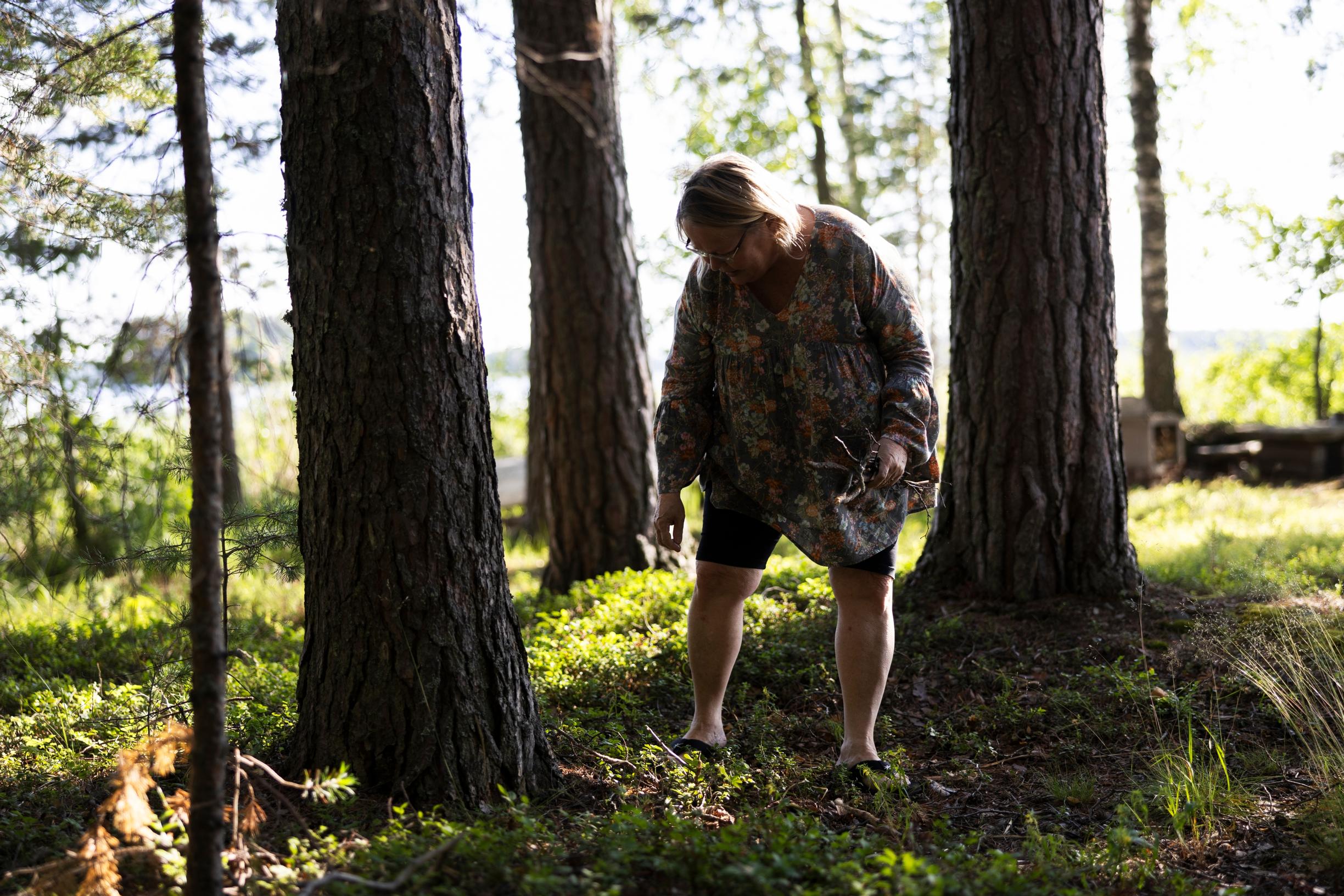 Helena etsii risuja maasta metsästä, paksuja puunrunkoja, taustalla järvi