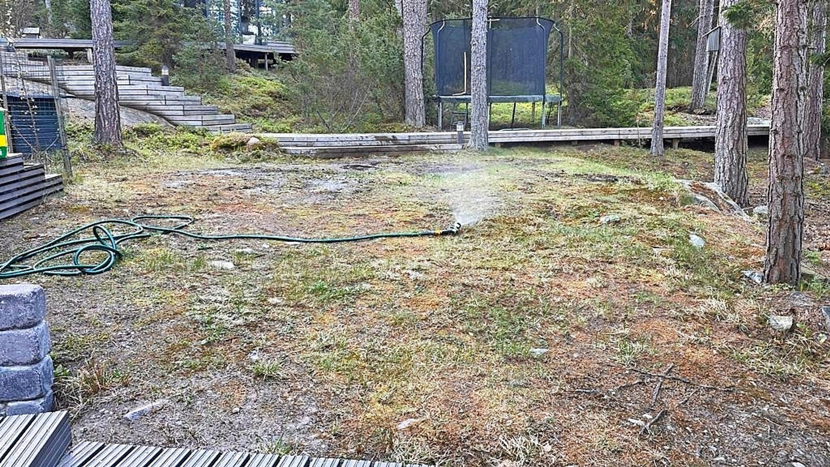 kasteluletkusta tulee vettä karulle metsäiselle pihalle