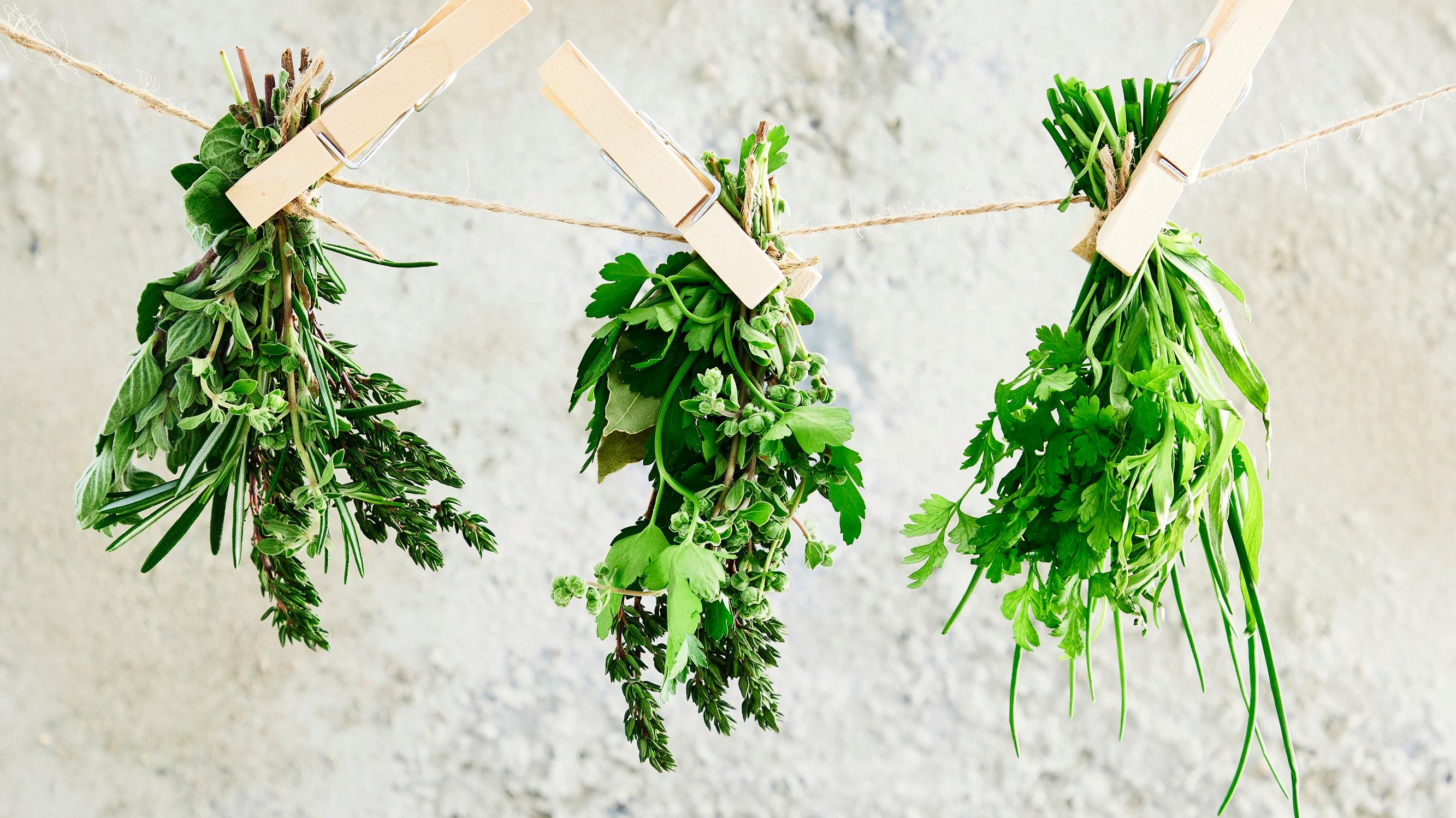 Yrteillä lisää makua ja väriä lautaselle! Näin opit käyttämään yrttejä monipuolisesti ruoanlaitossa