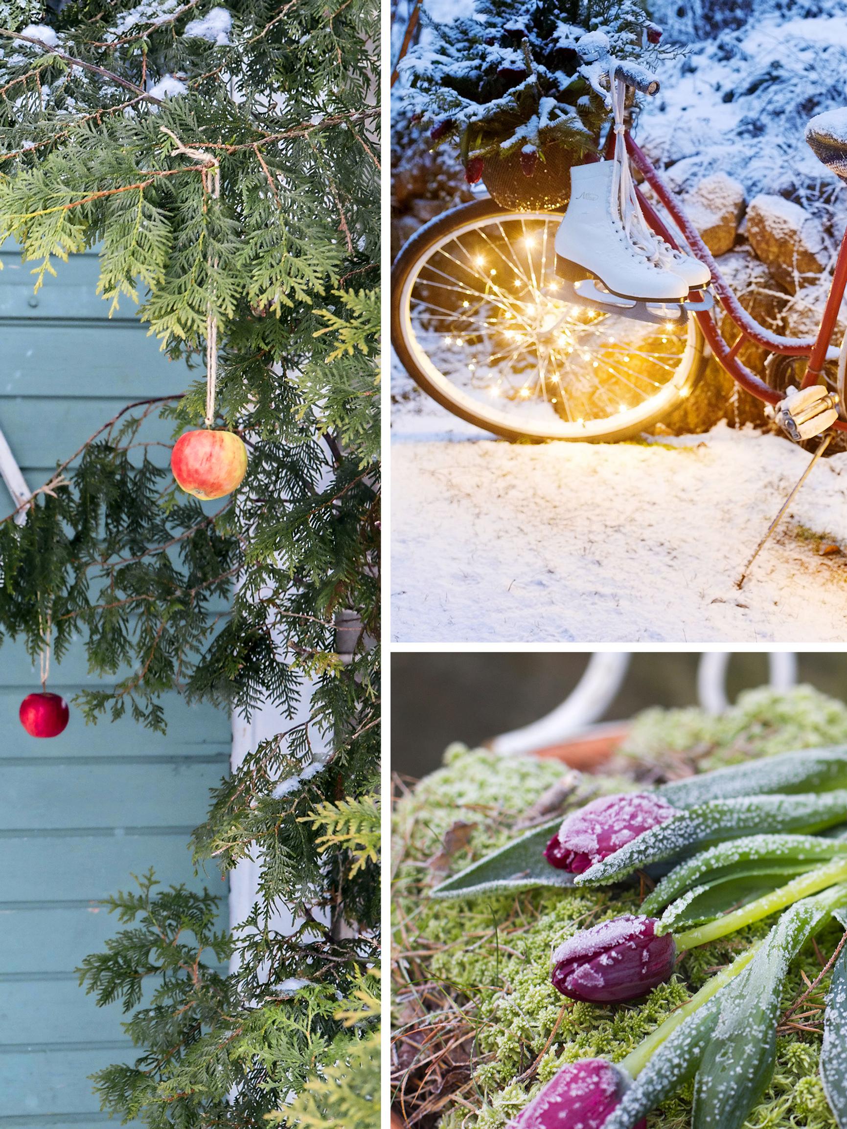 Joulu valtaa puutarhan! 17 ihanaa ideaa pihan koristeluun