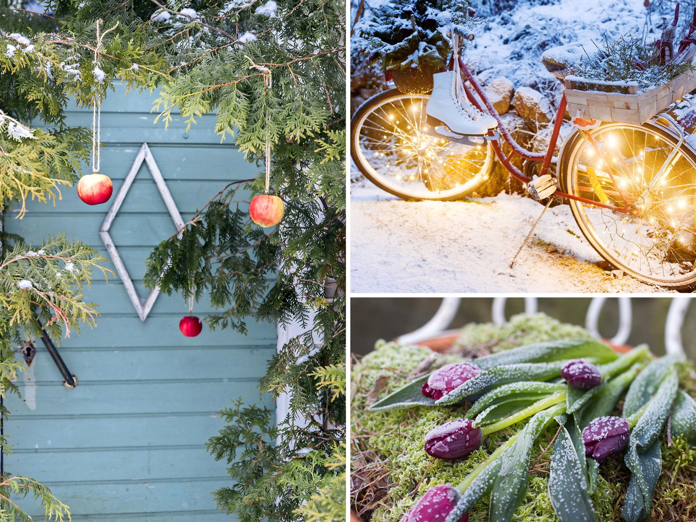 Joulu valtaa puutarhan! 17 ihanaa ideaa pihan koristeluun