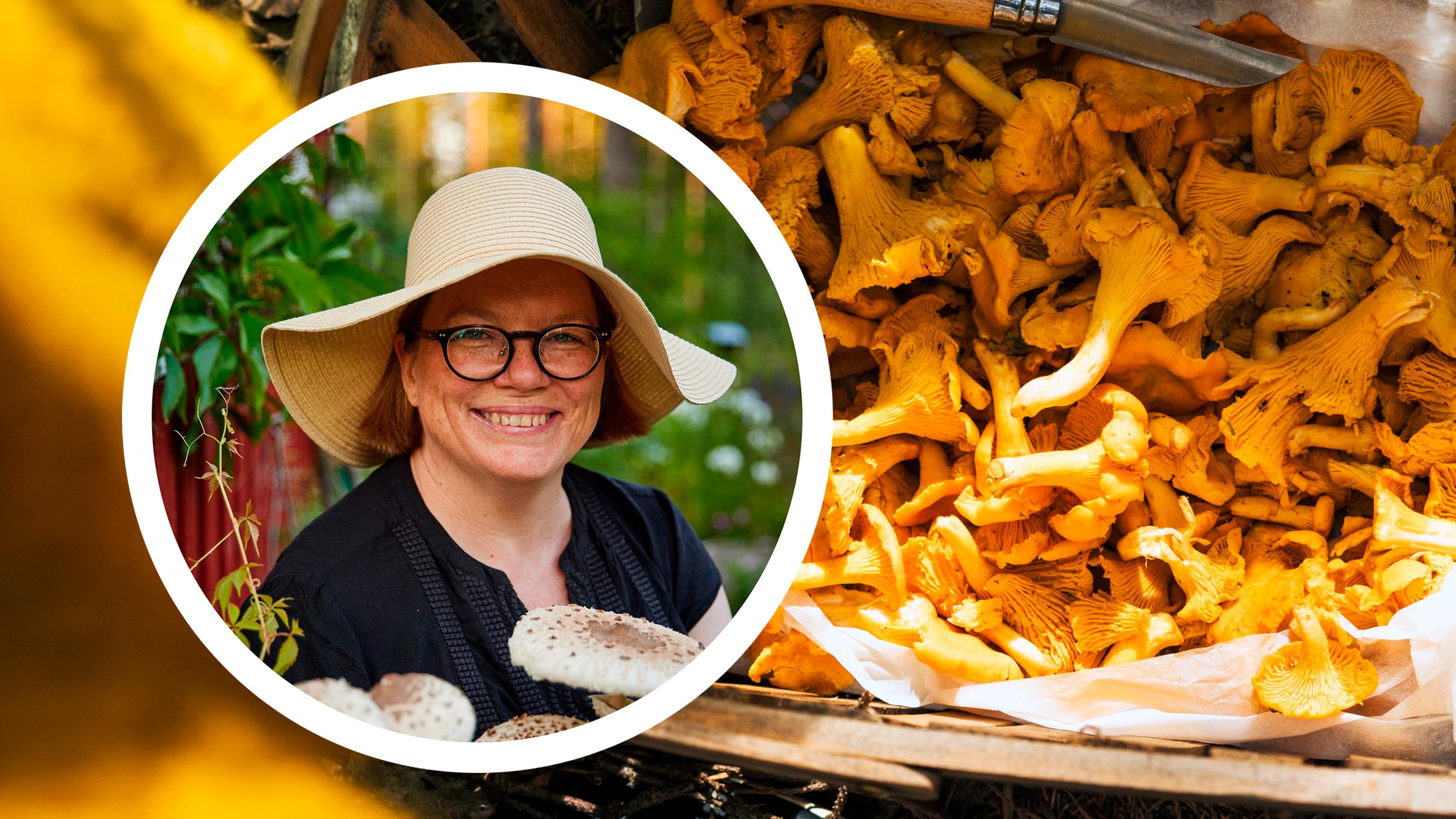 Kantarellien pakastaminen – sieniä rakastava ruokatoimittaja Kati Pohja antaa 5 oivaa vinkkiä!