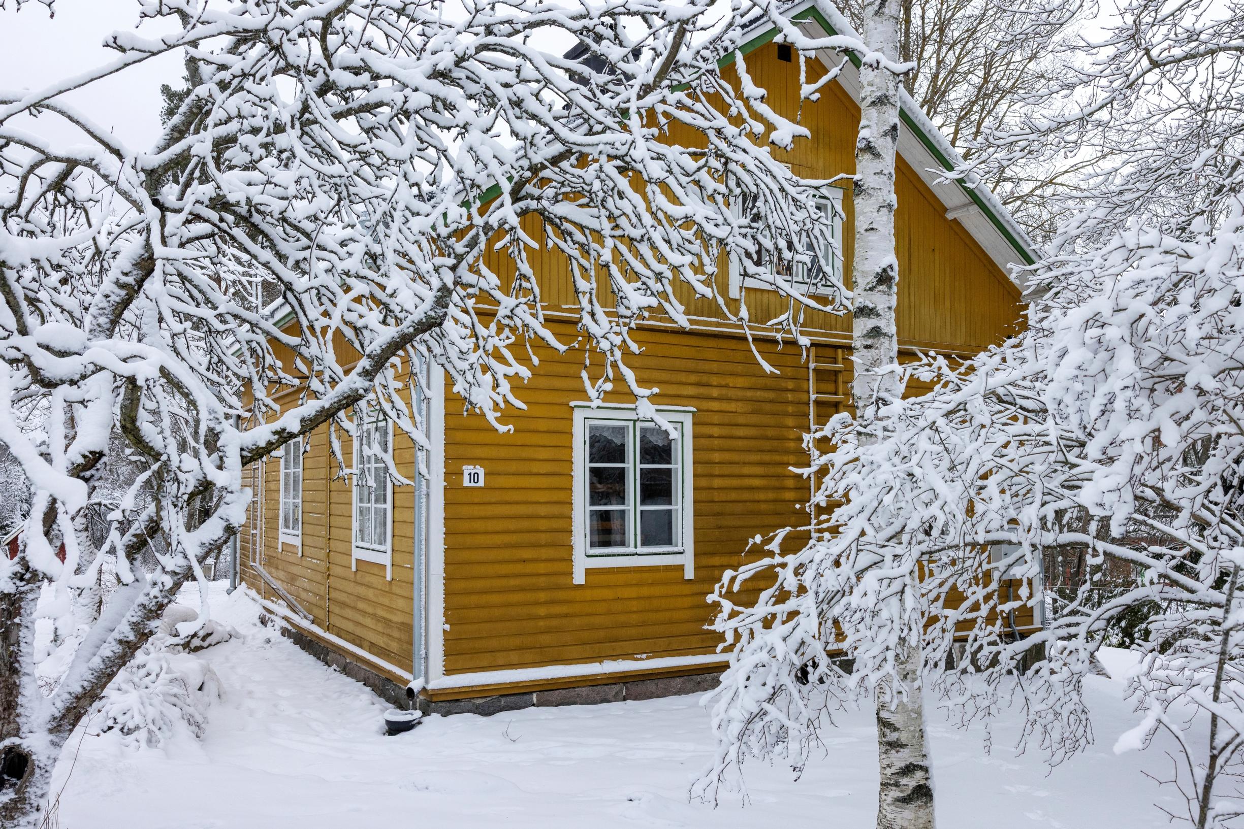 Keltainen talo lumisten puiden keskellä