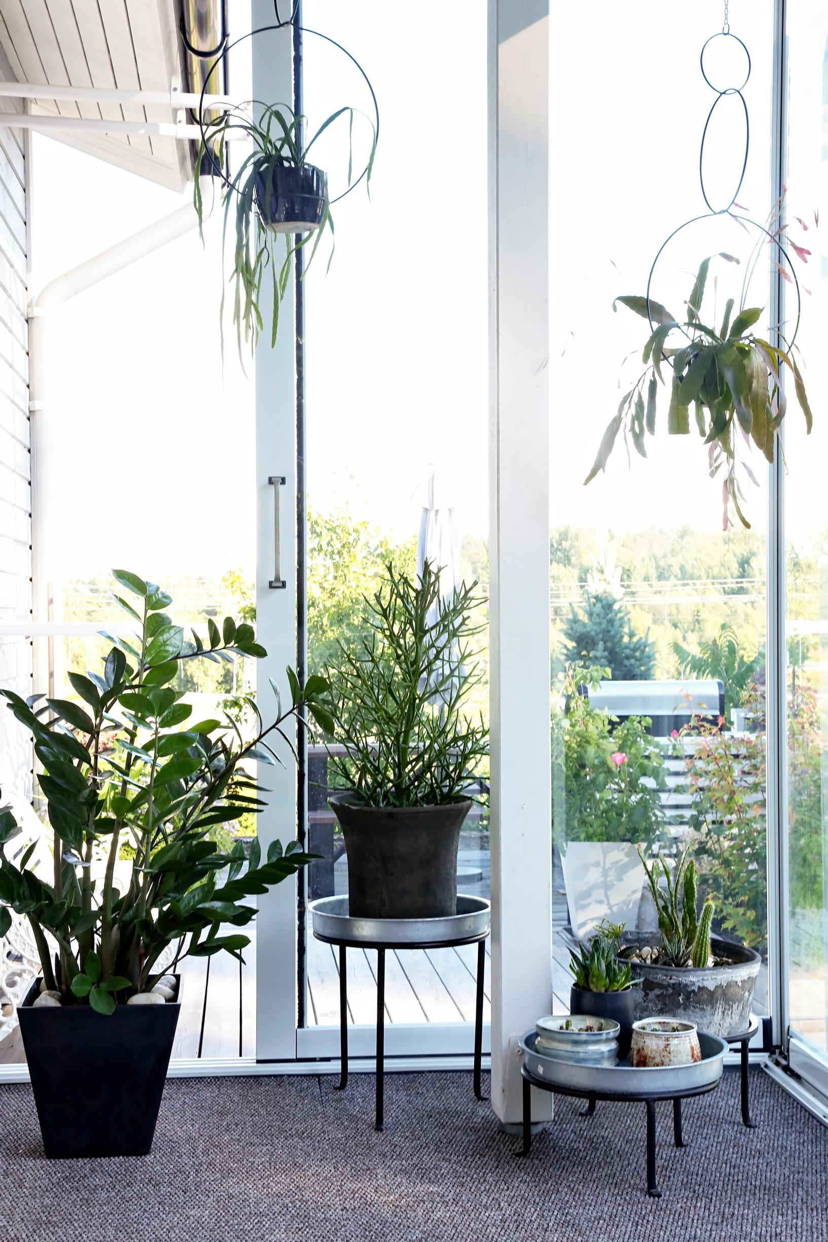 Eri tasoille aseteltuja ruukkuja